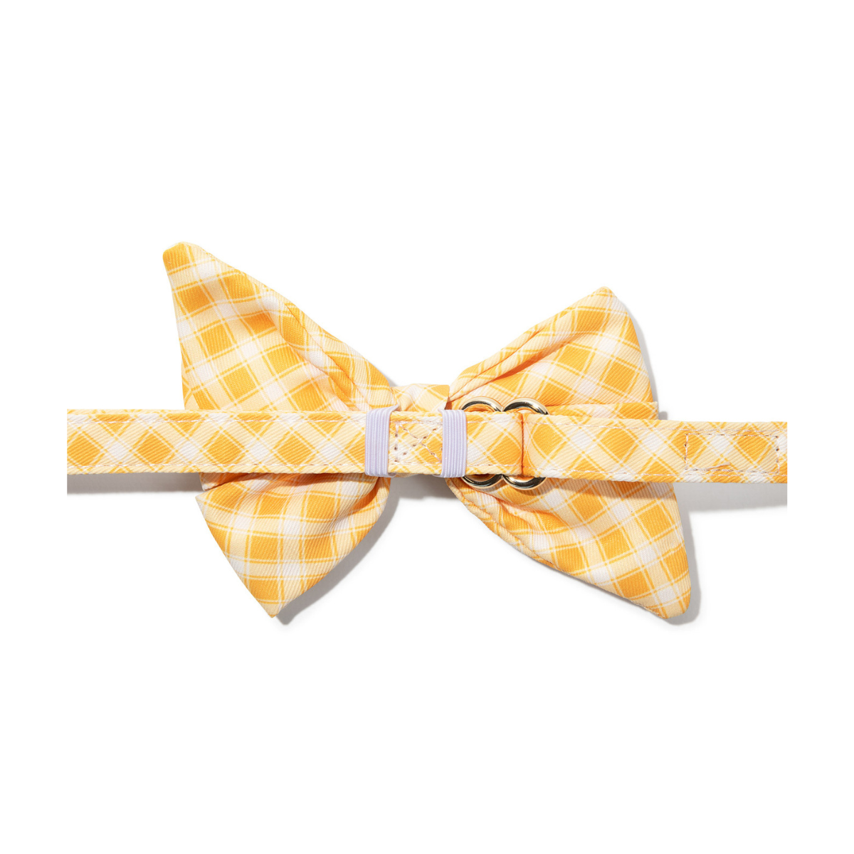 Daisy Babe Bow Dog Collar
