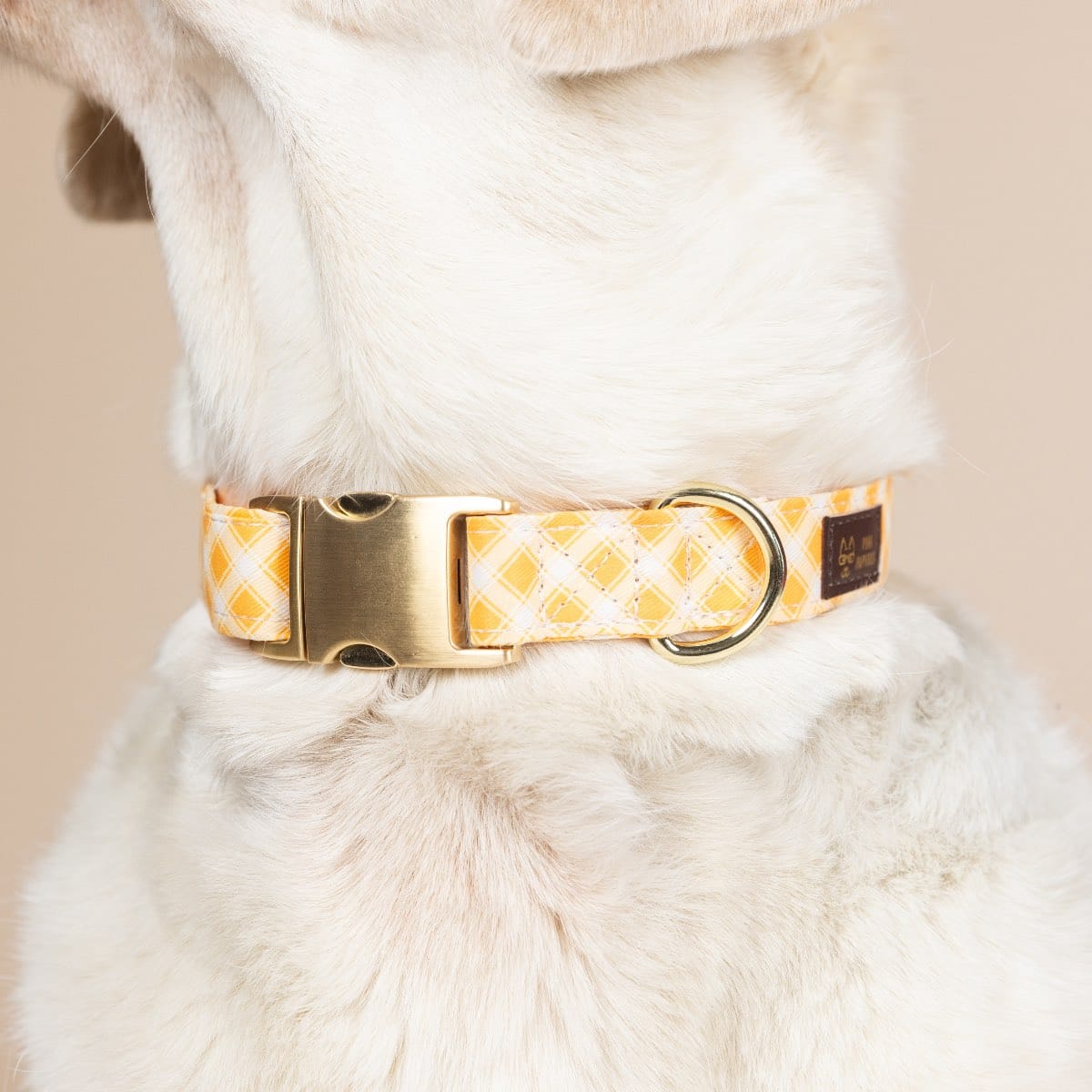 Daisy Dog Collar | Pink Papyrus
