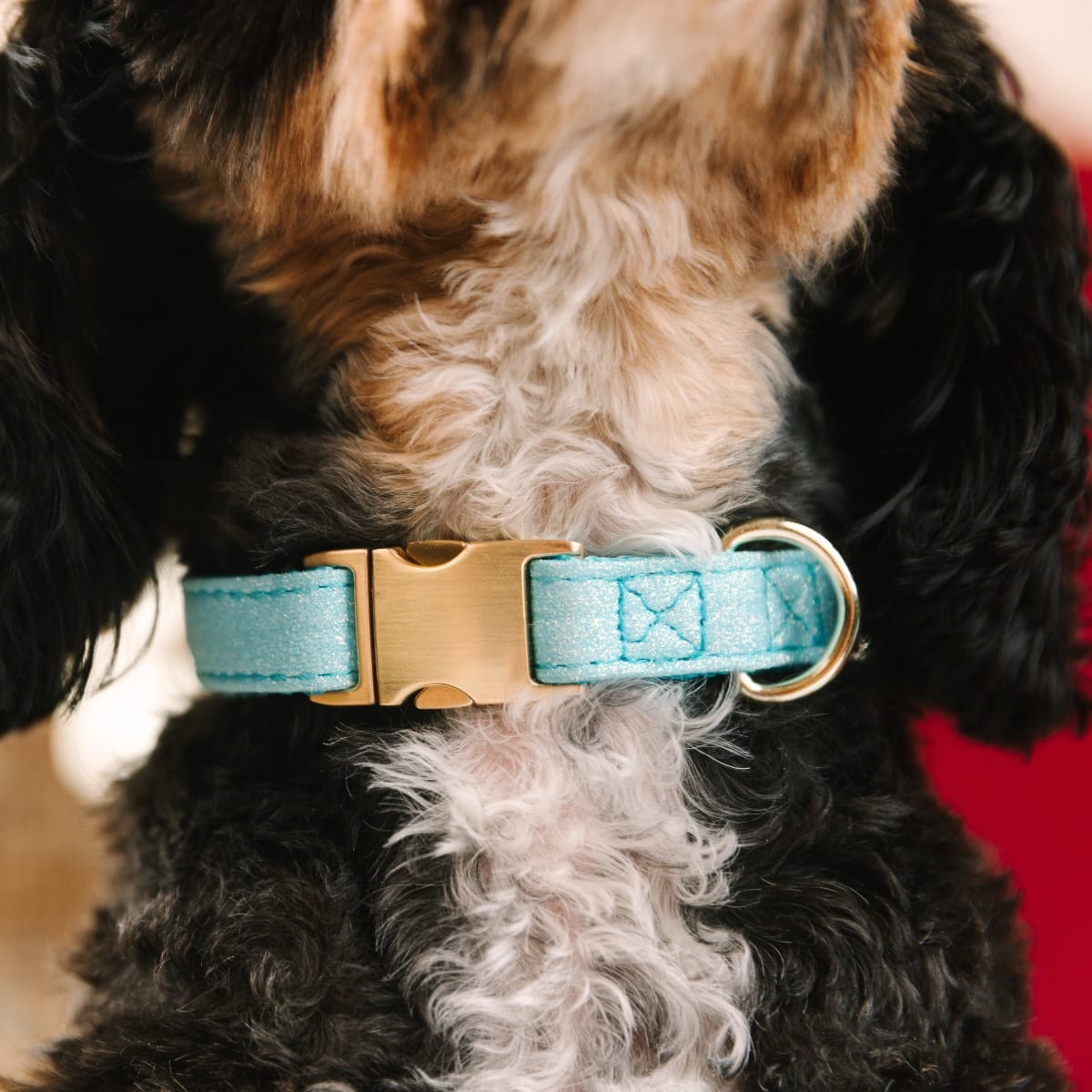 Dawson Dog Collar | Pink Papyrus