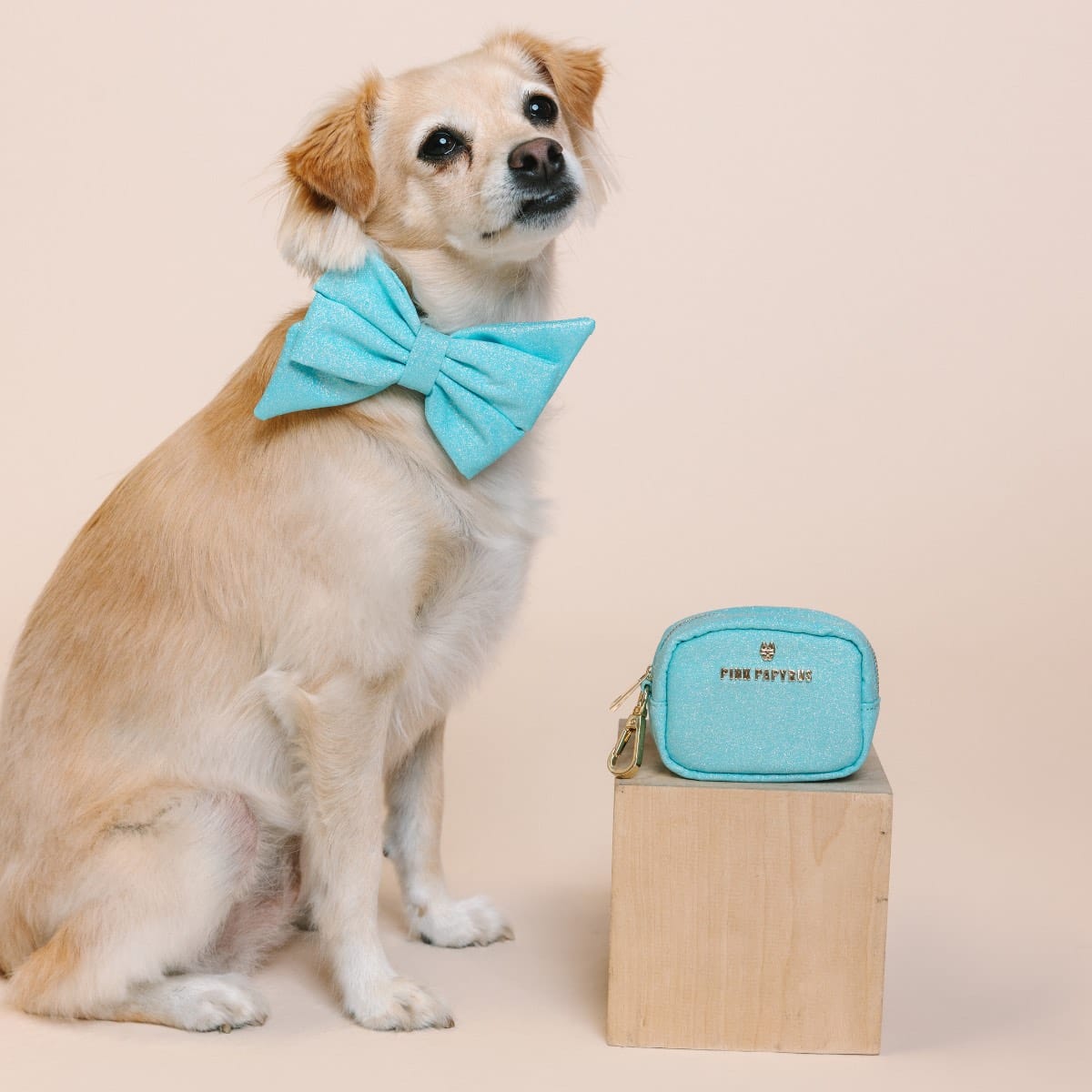 Dawson Waste Bag Holder & Treat Pouch | Pink Papyrus