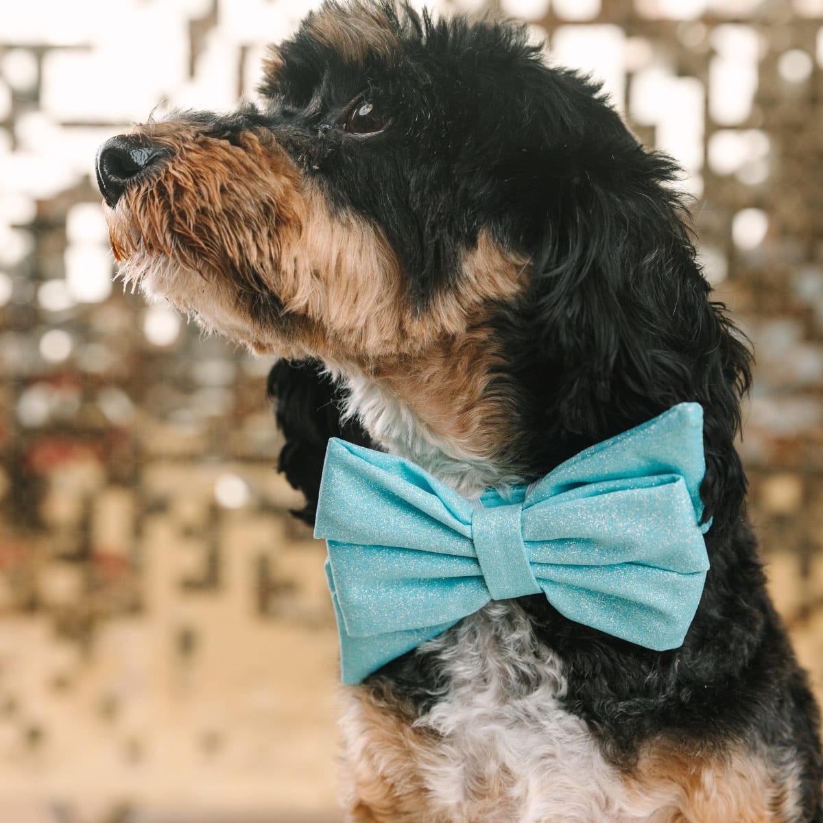 Dawson Dog Babe Bow | Pink Papyrus