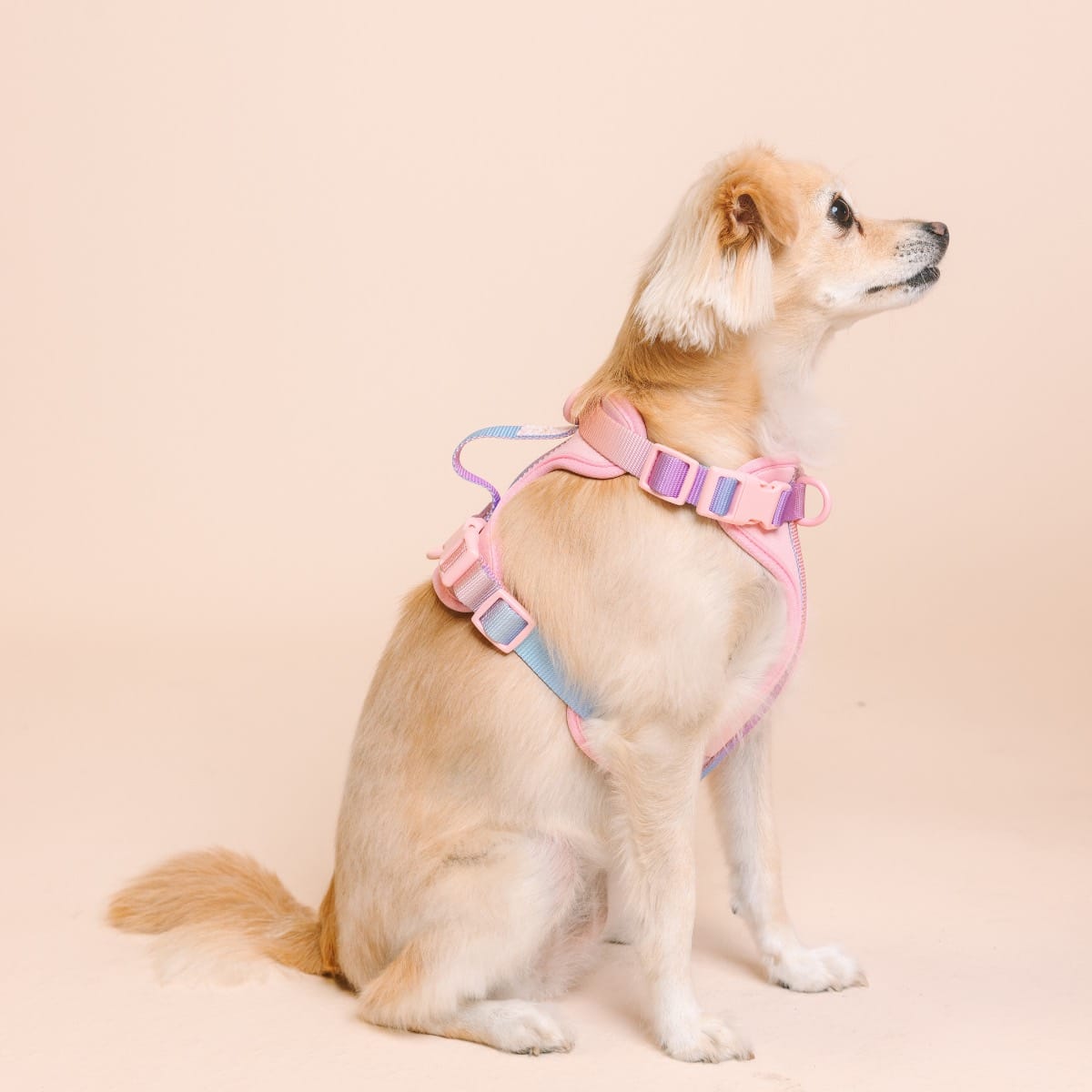Diem Dog Harness | Pink Papyrus