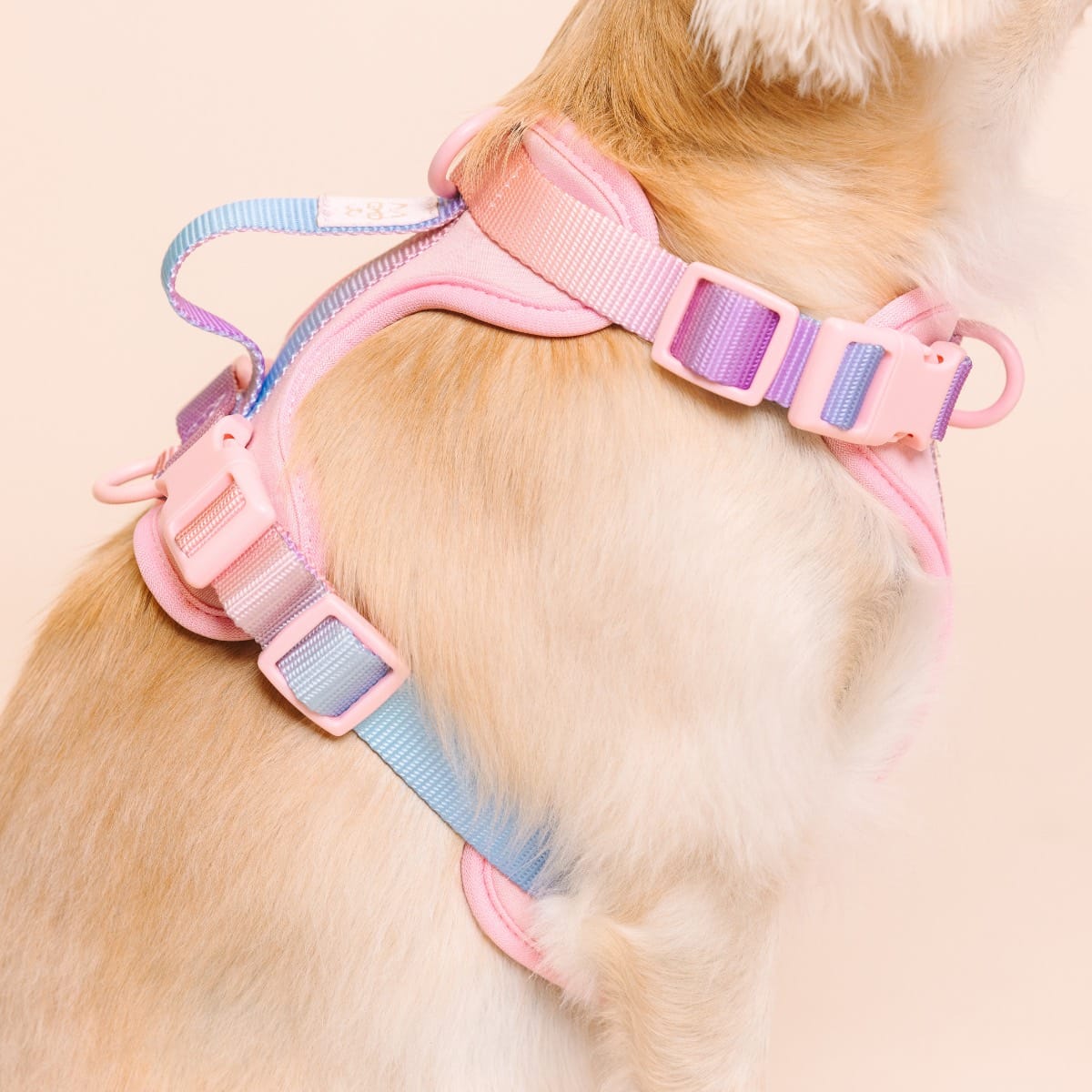 Diem Dog Harness | Pink Papyrus