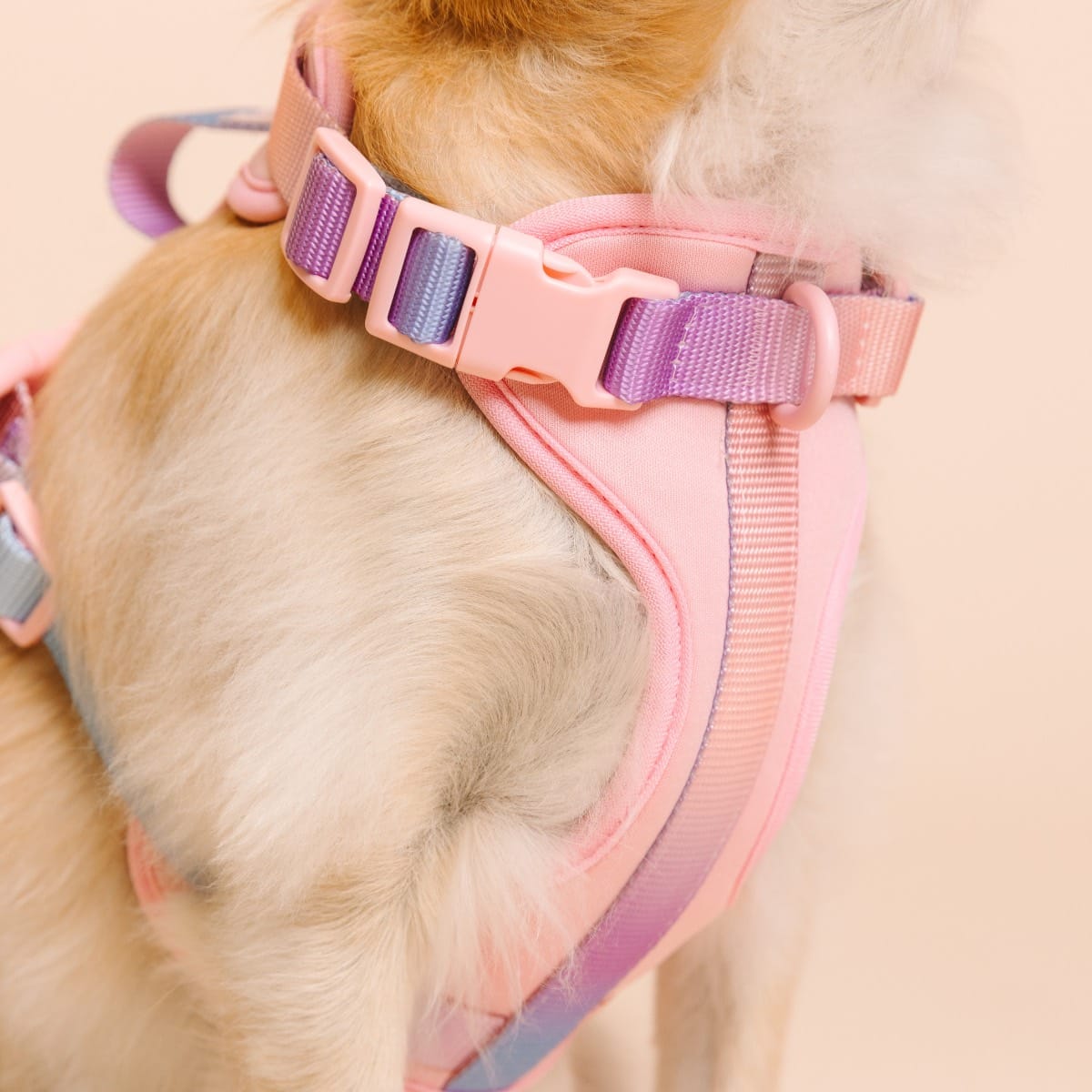 Diem Dog Harness | Pink Papyrus