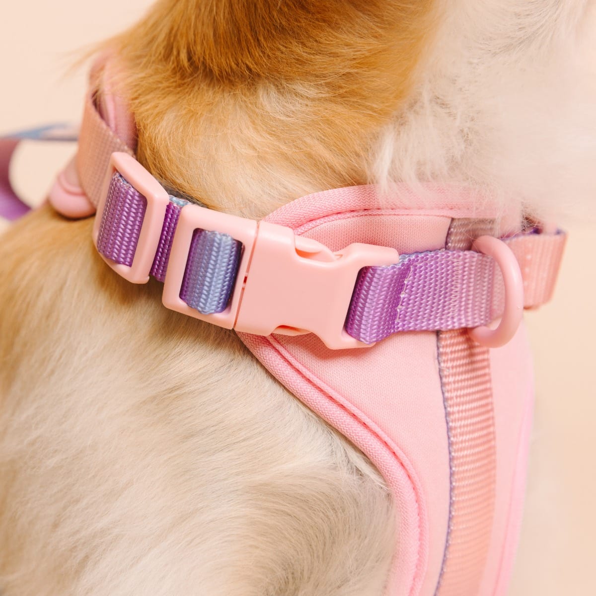 Diem Dog Harness | Pink Papyrus