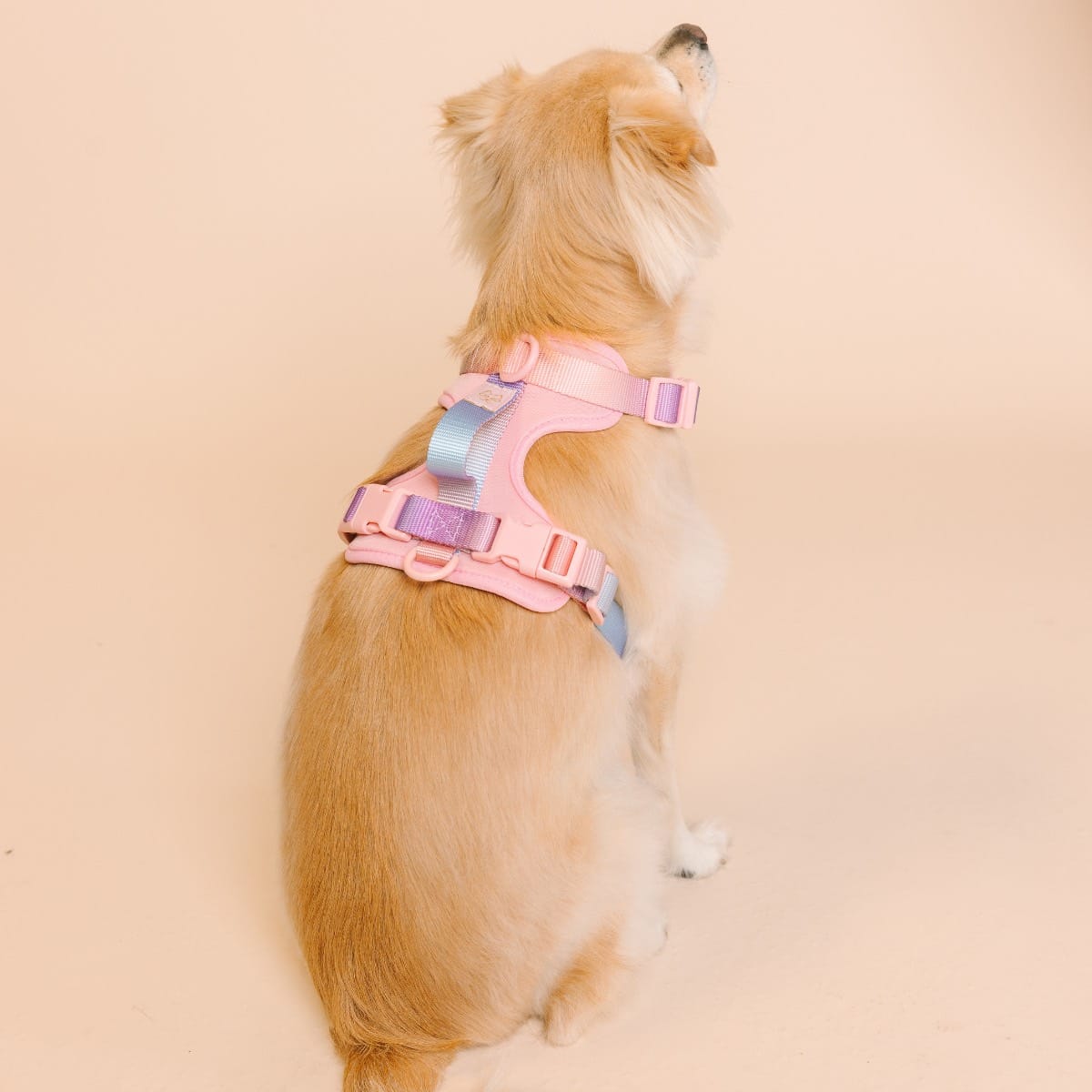 Diem Dog Harness | Pink Papyrus