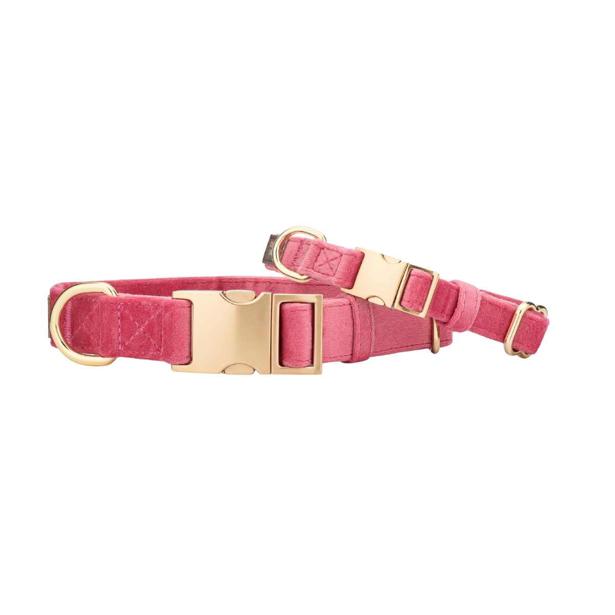 Ella Dog Collar