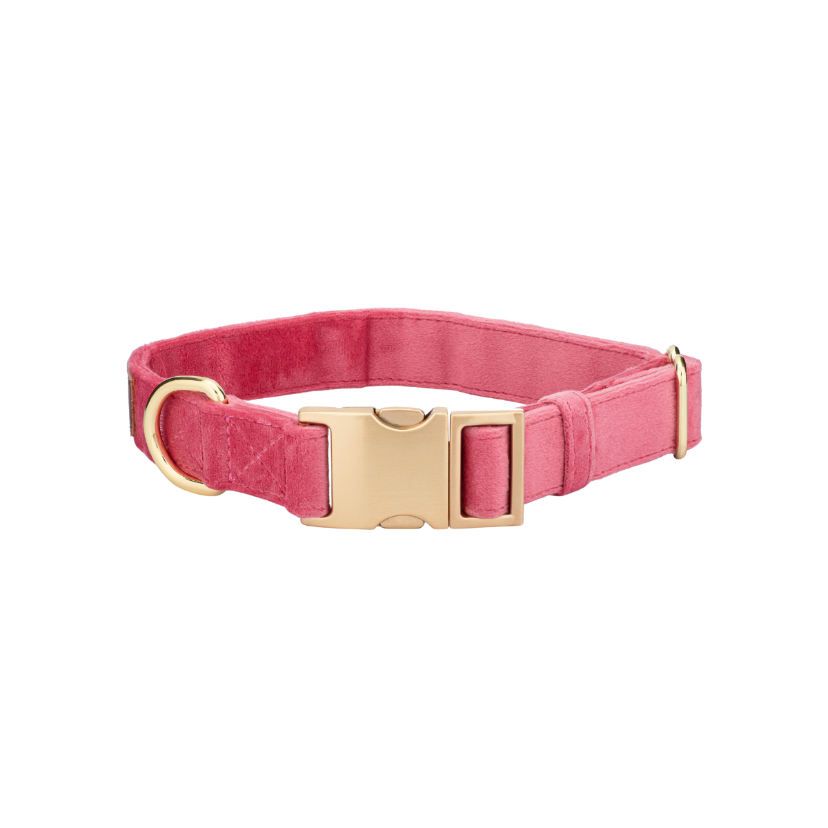 Ella Dog Collar