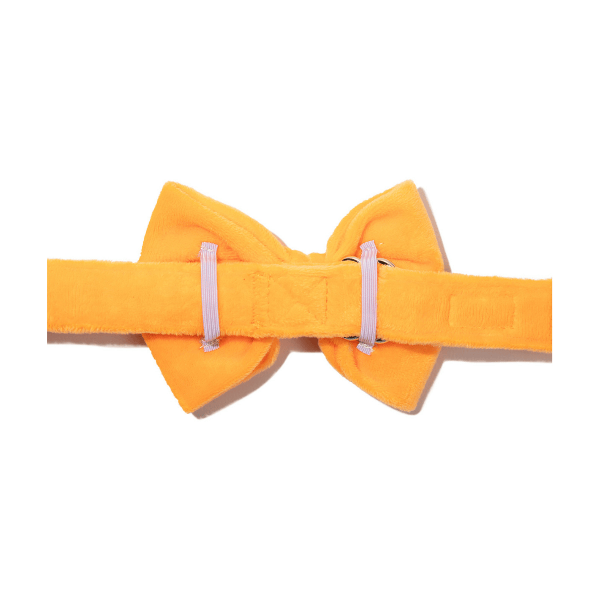Ezra Bow Tie Dog Collar | Pink Papyrus