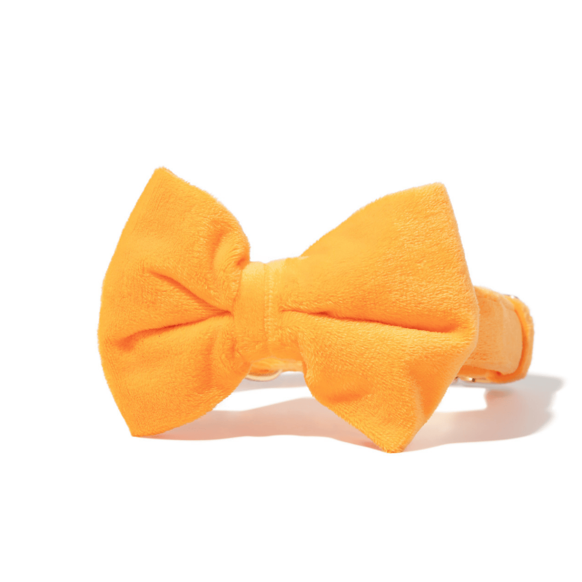 Ezra Bow Tie Dog Collar | Pink Papyrus