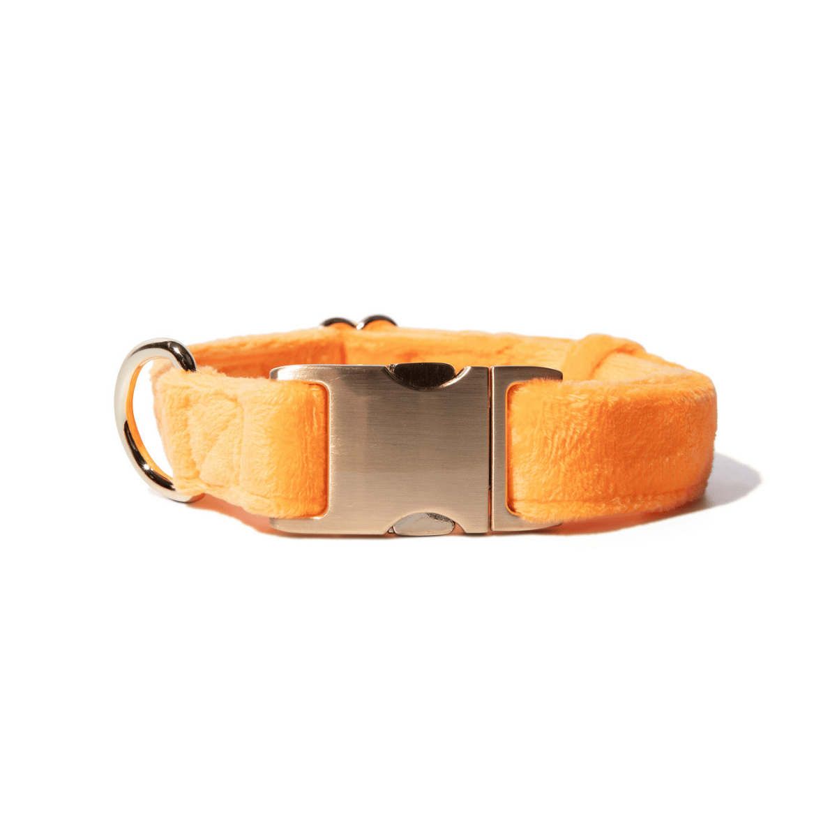 Ezra Dog Collar | Pink Papyrus