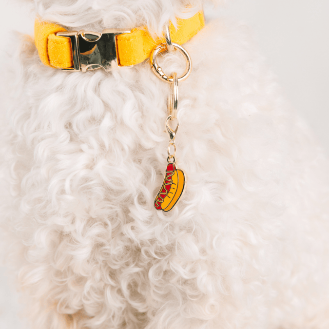 Hotdog Pet Charm | Pink Papyrus