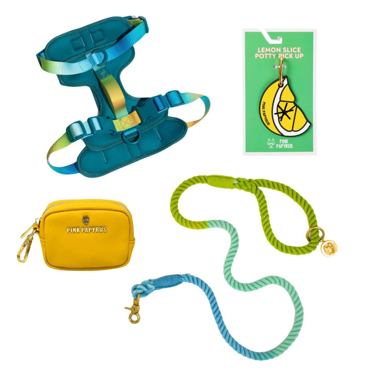 Citrus Splash Dog Harness Bundle | Pink Papyrus