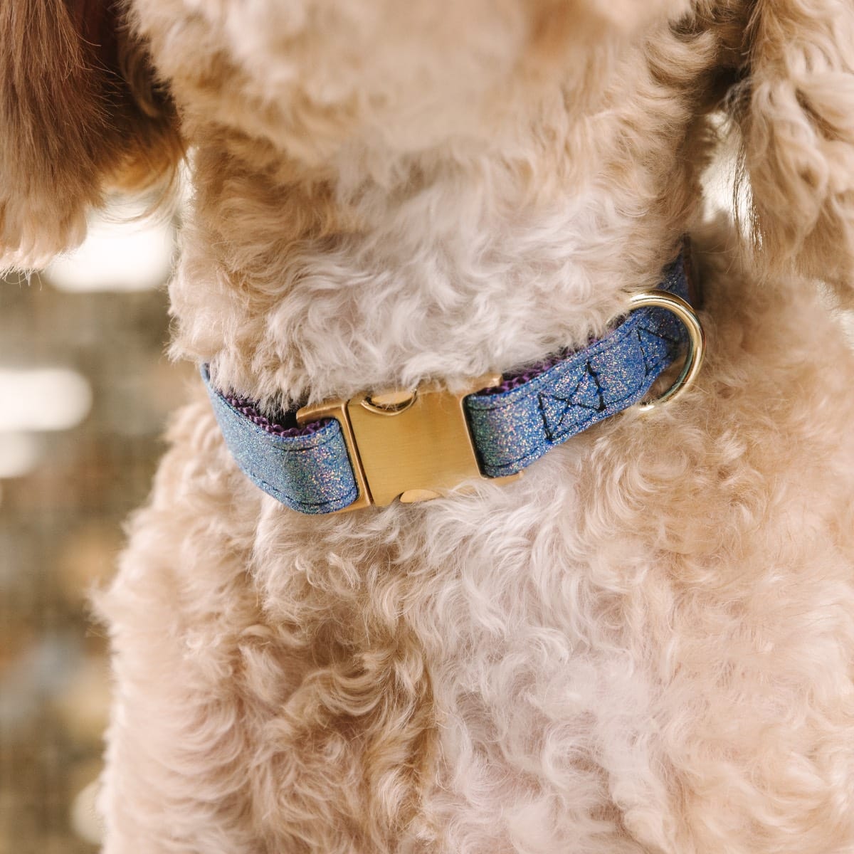 Jolie Dog Collar | Pink Papyrus