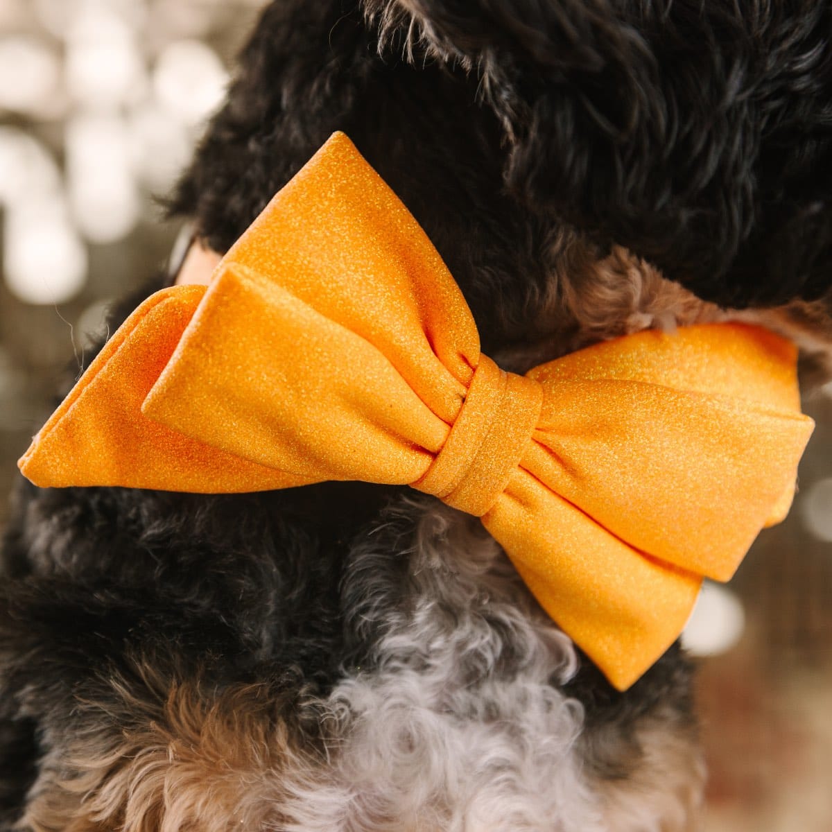 Keaton Dog Babe Bow | Pink Papyrus