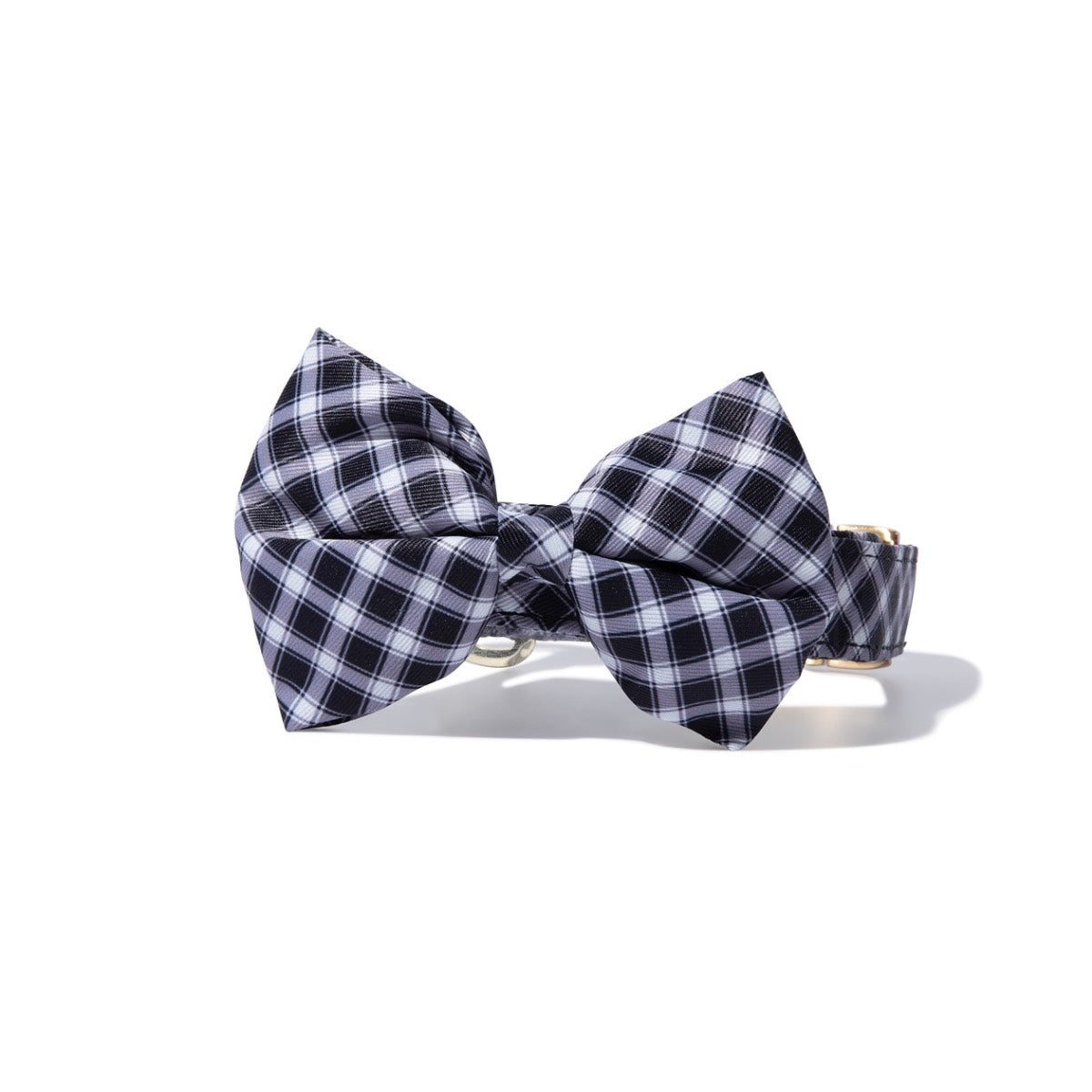 Leighton Bow Tie Dog Collar