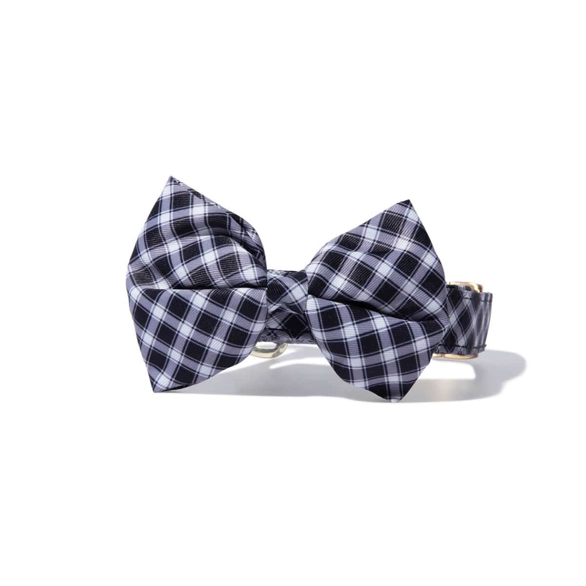 Leighton Bow Tie Dog Collar | Pink Papyrus
