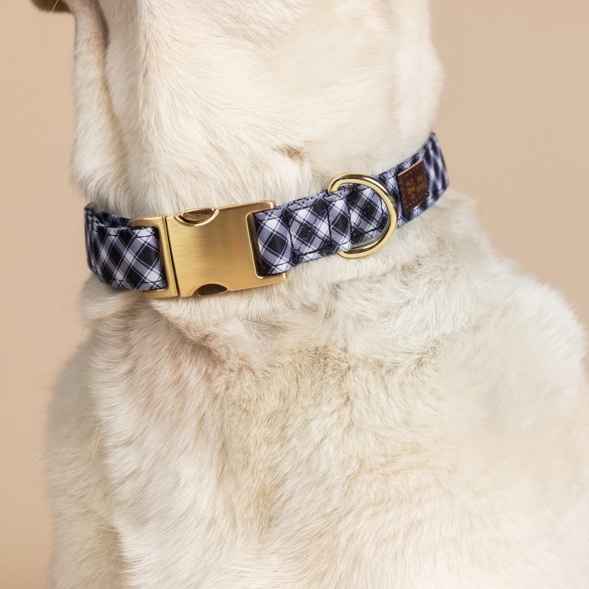 Leighton Dog Collar | Pink Papyrus