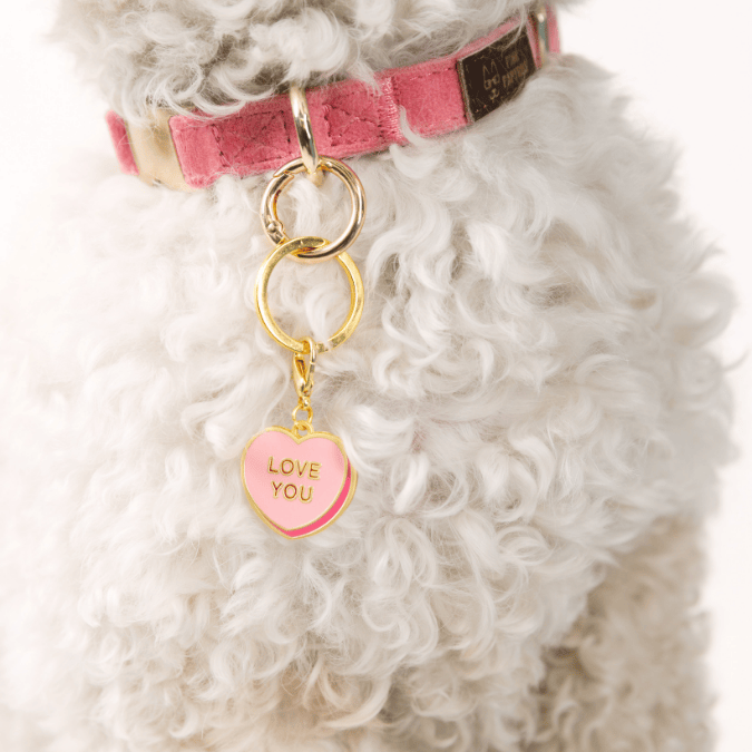 Love You Sweetheart Pet Charm | Pink Papyrus