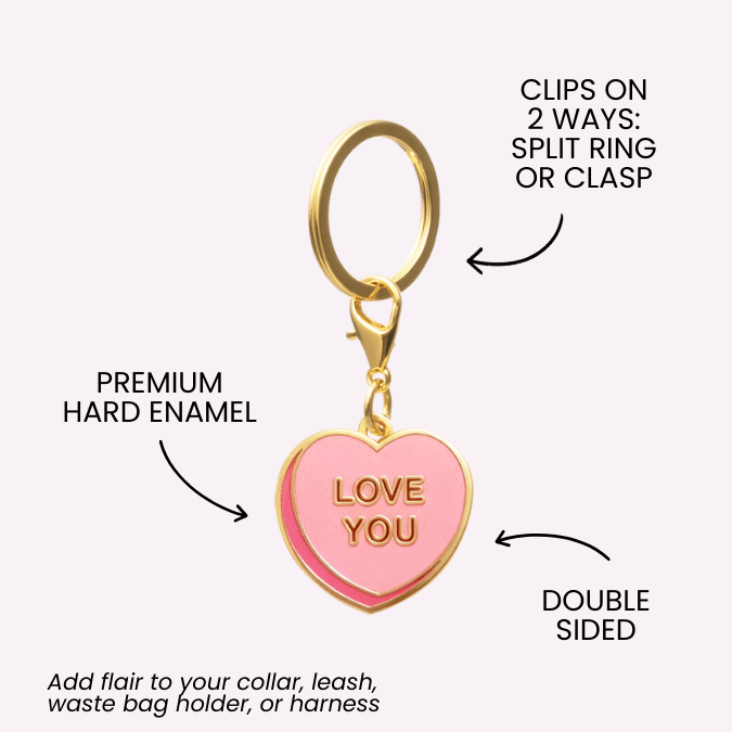 Love You Sweetheart & Cupcake Pet Charm Set | Pink Papyrus