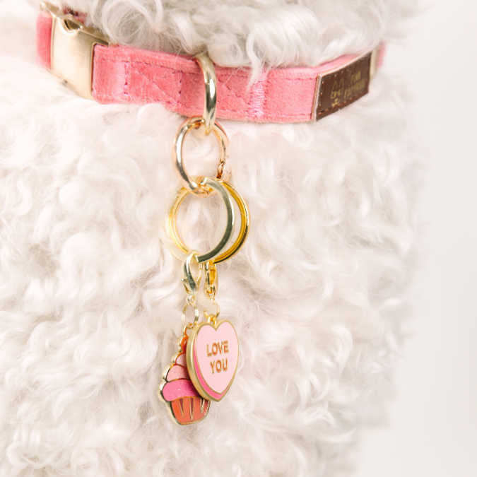 Love You Sweetheart & Cupcake Pet Charm Set