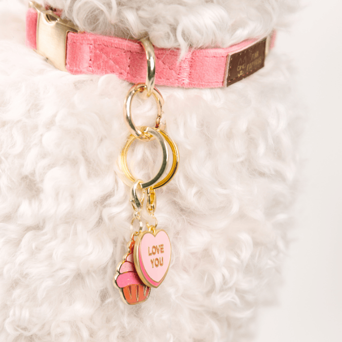 Love You Sweetheart & Cupcake Pet Charm Set | Pink Papyrus
