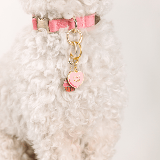 Love You Sweetheart & Cupcake Pet Charm Set | Pink Papyrus
