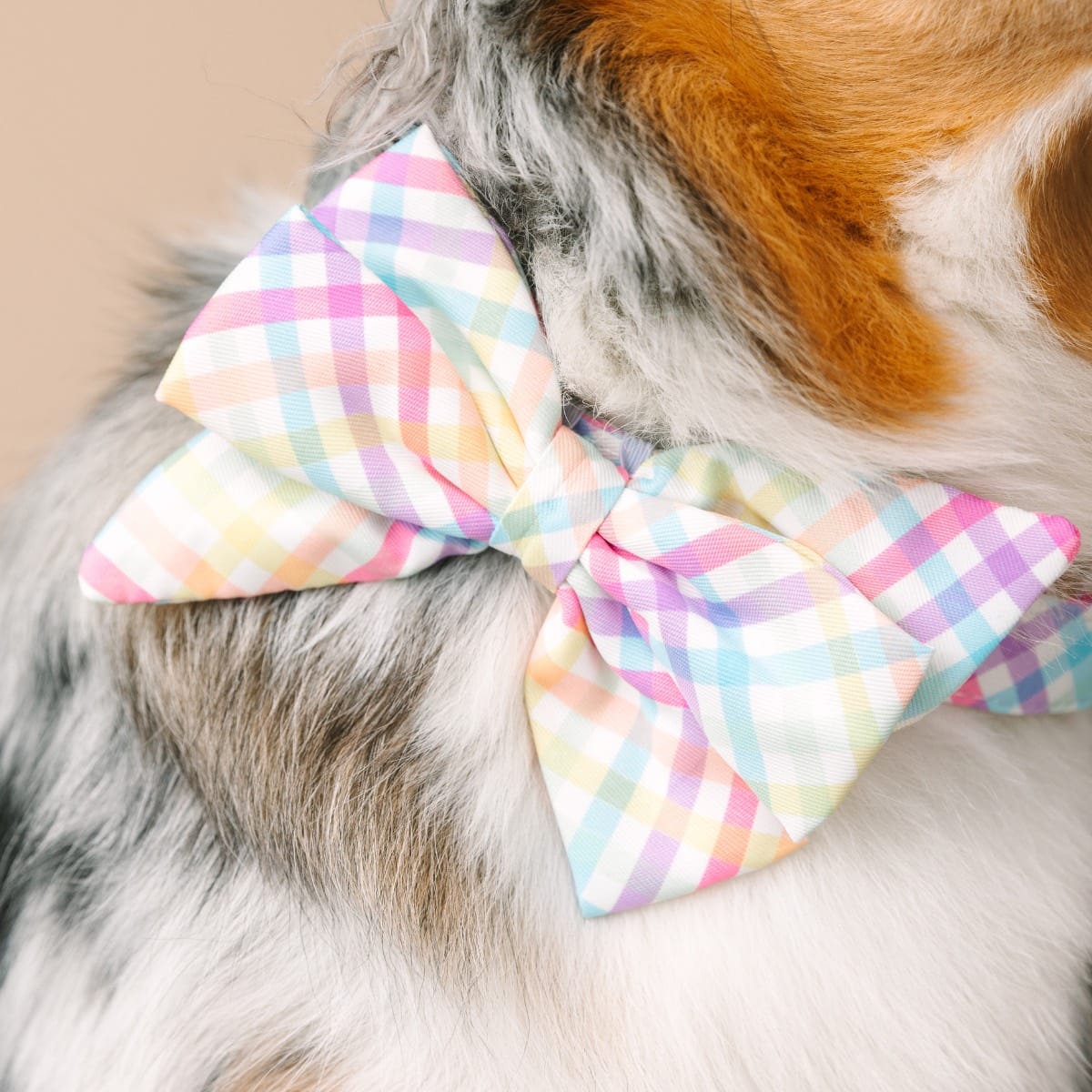 Minka Babe Bow Dog Collar | Pink Papyrus