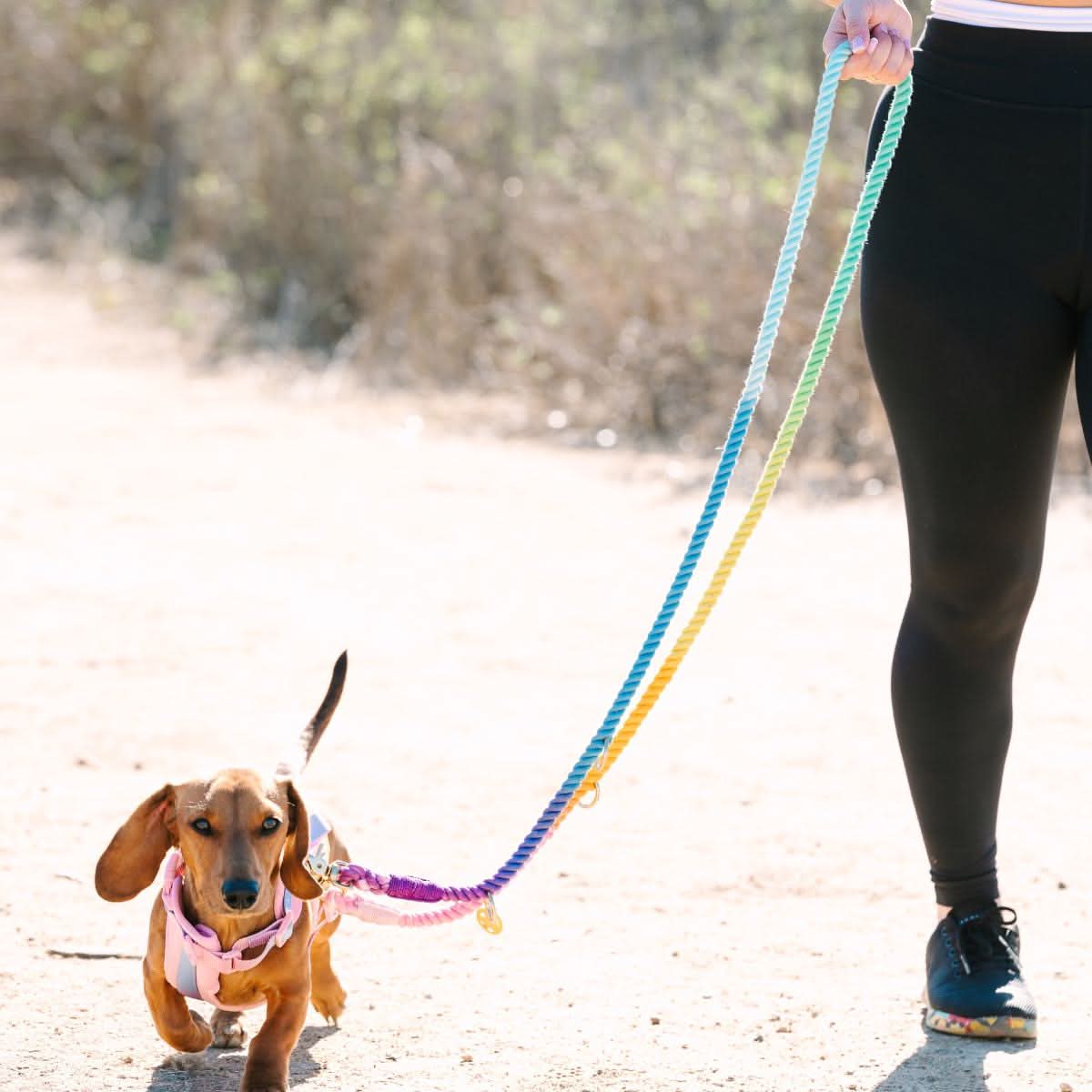 Nola Hands-Free Rope Dog Leash | Pink Papyrus