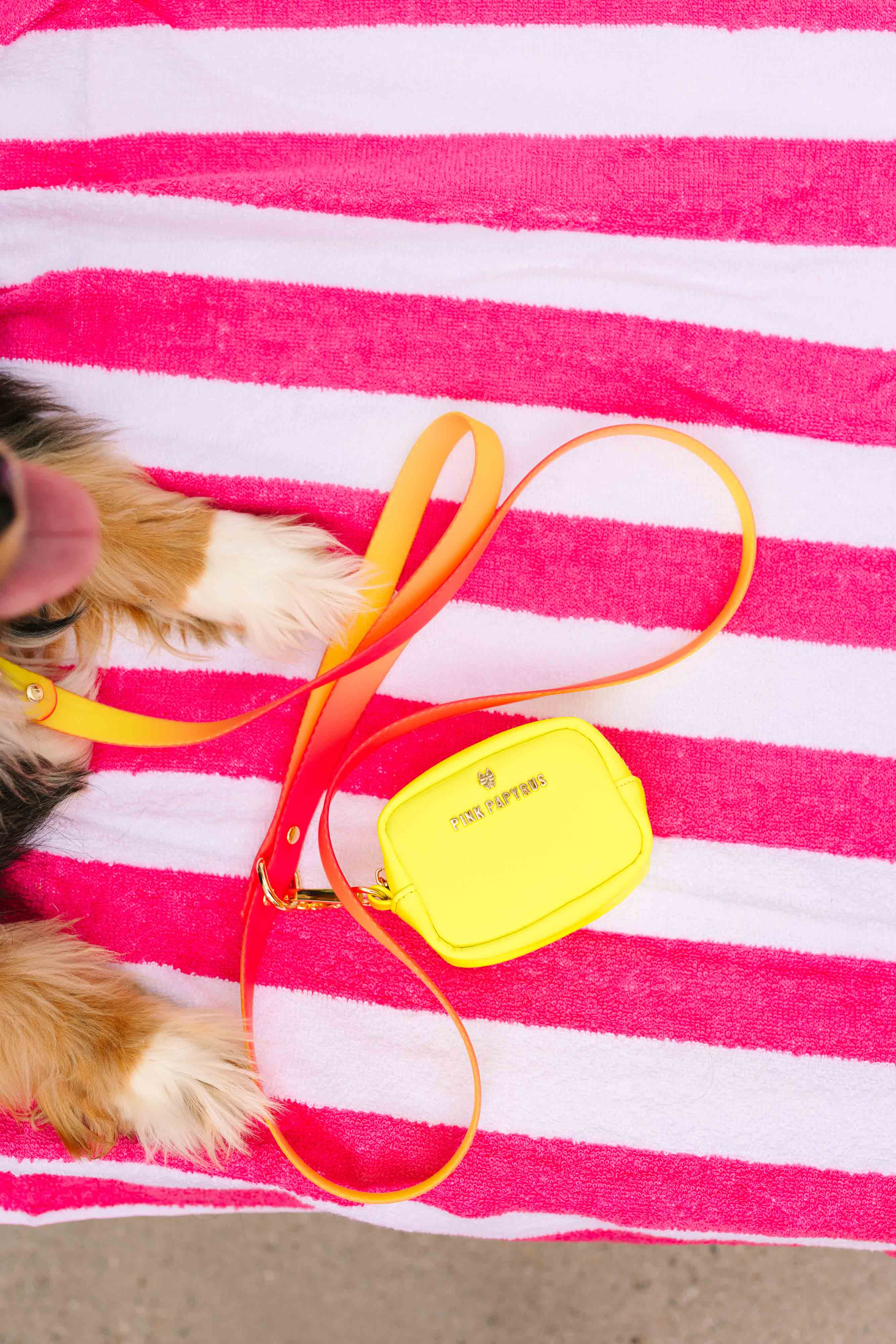 Katelin All Weather Dog Leash | Pink Papyrus