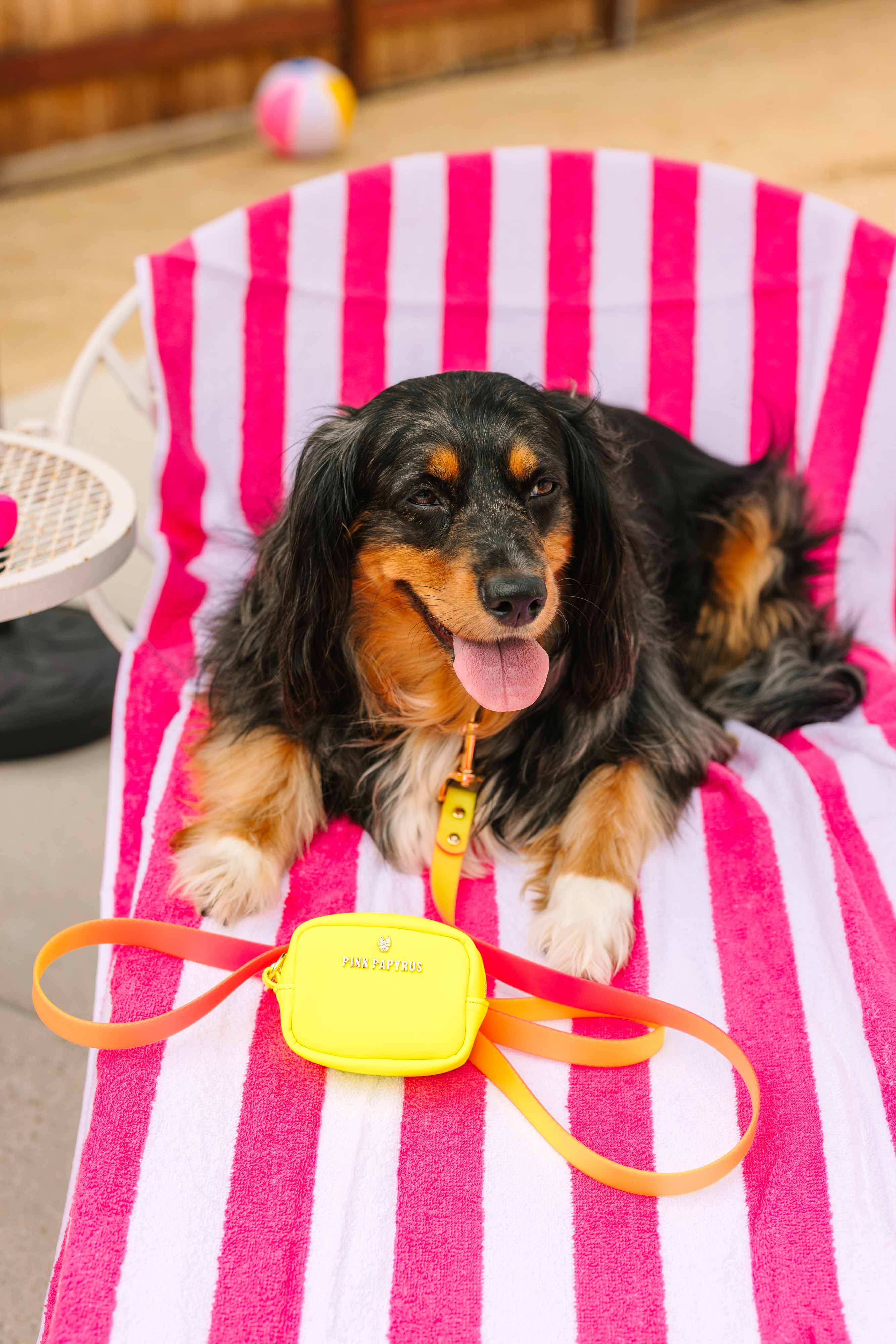 Katelin All Weather Dog Leash | Pink Papyrus
