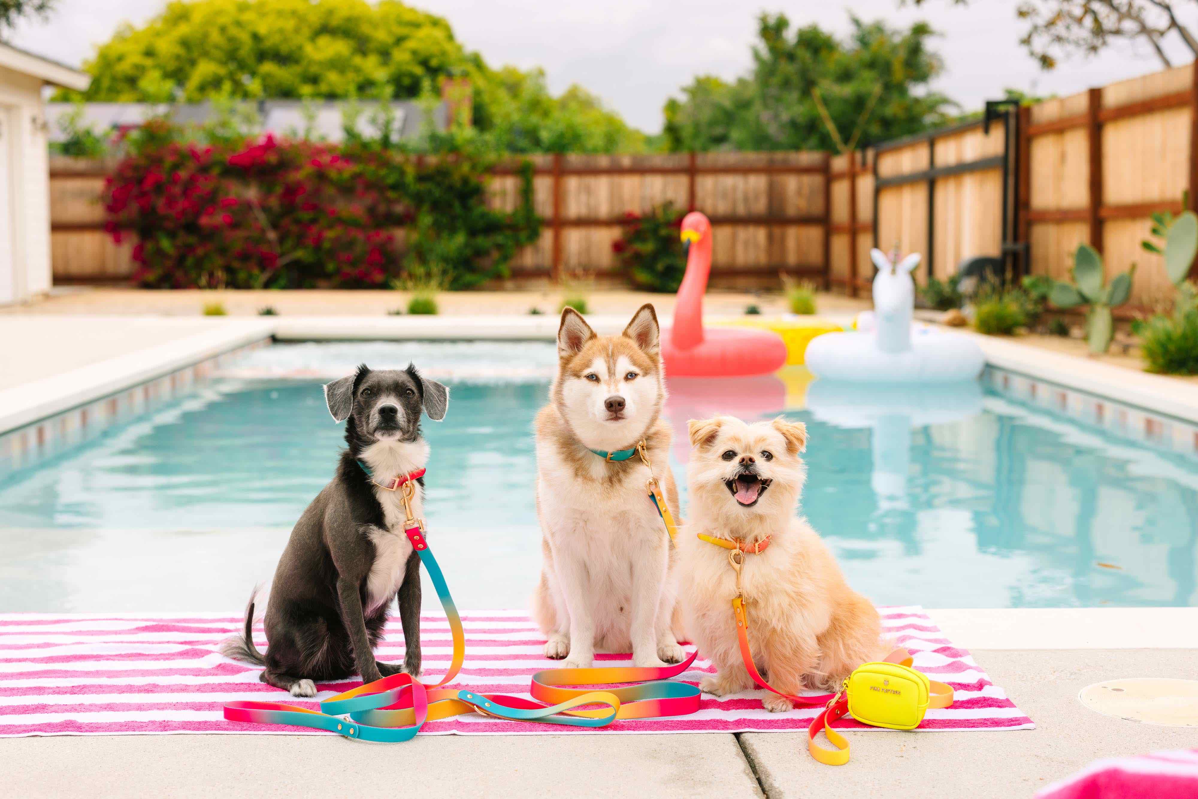 Pippa All Weather Dog Leash