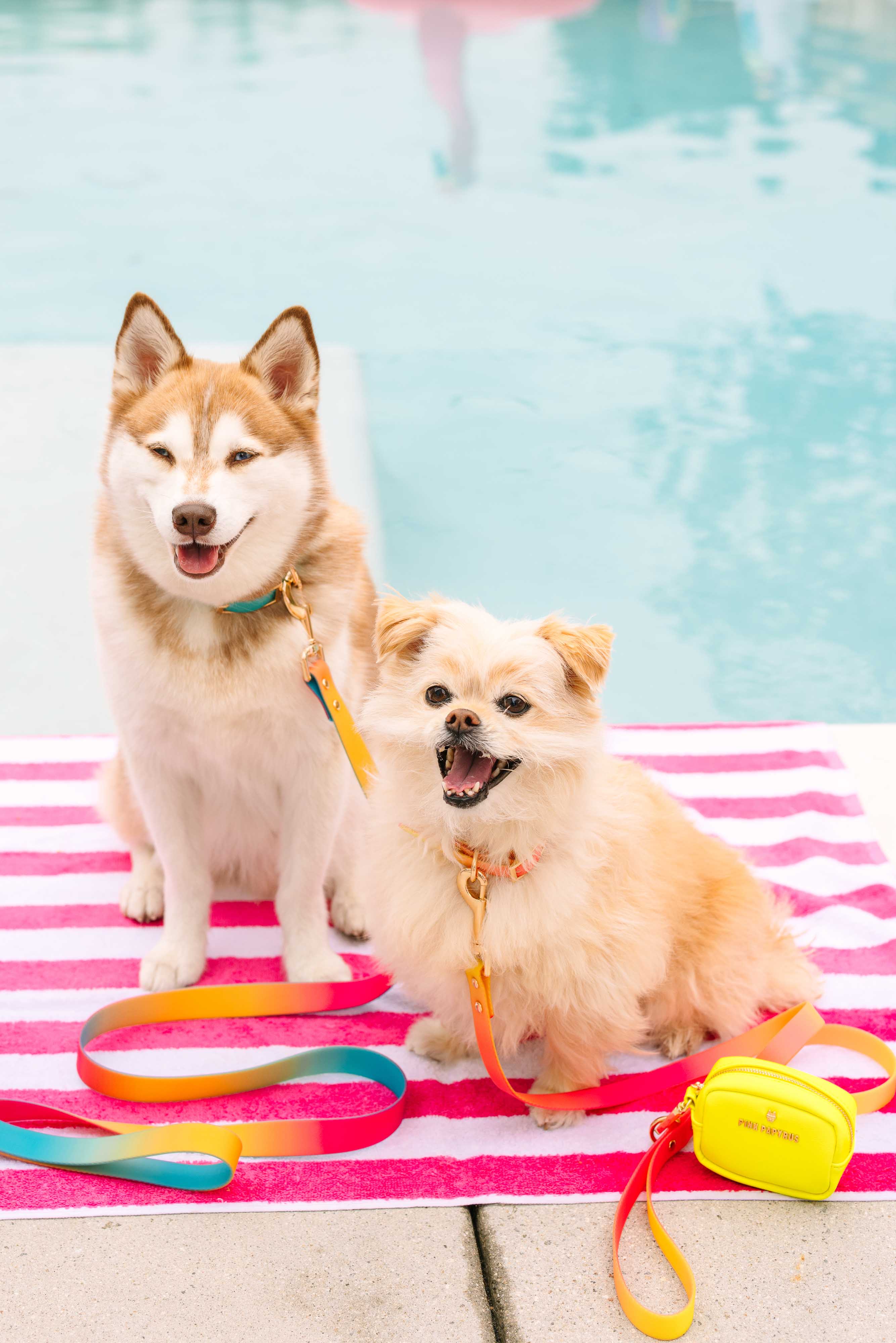 Kiki Waste Bag Holder & Treat Pouch