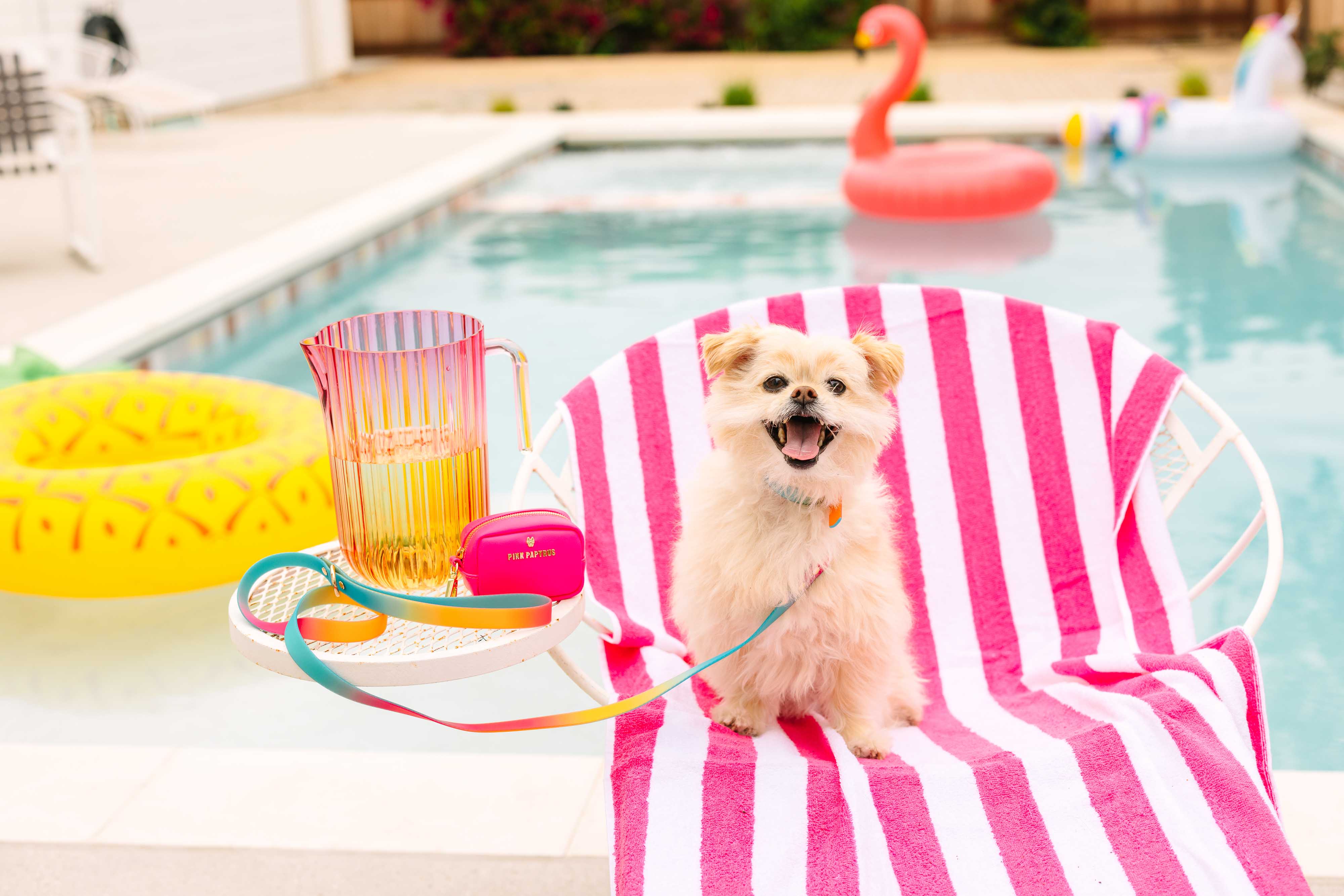 Cleo Waste Bag Holder & Treat Pouch