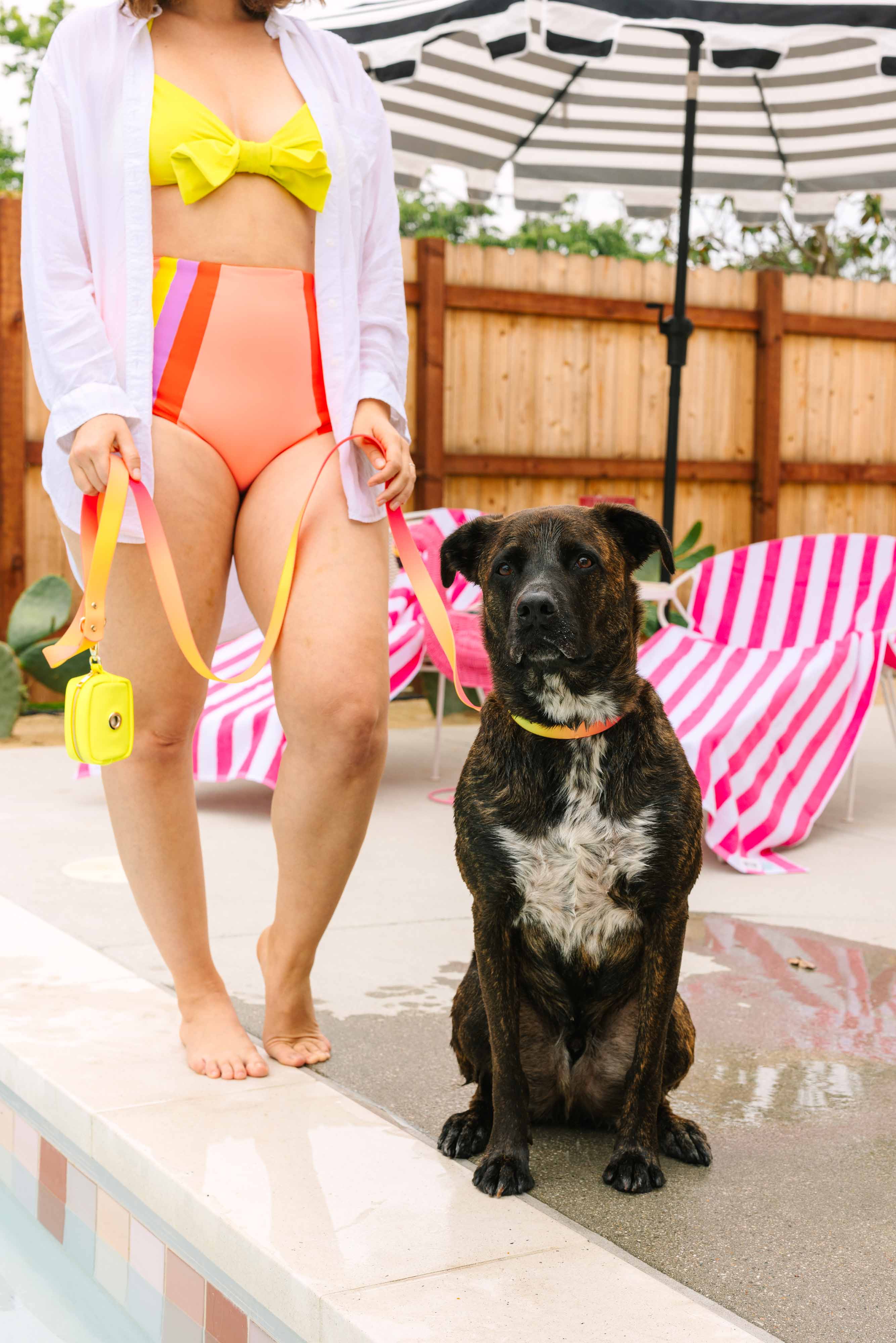 Katelin All Weather Dog Leash | Pink Papyrus