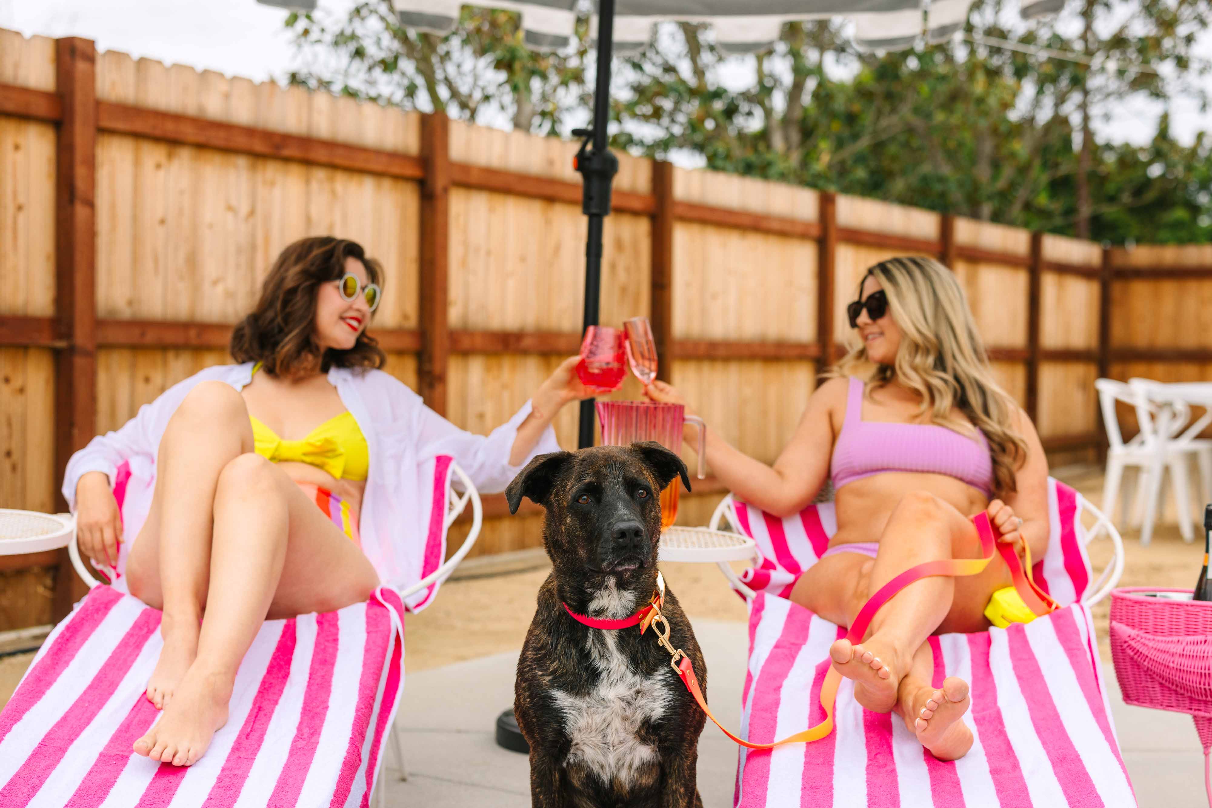 Katelin All Weather Dog Leash | Pink Papyrus