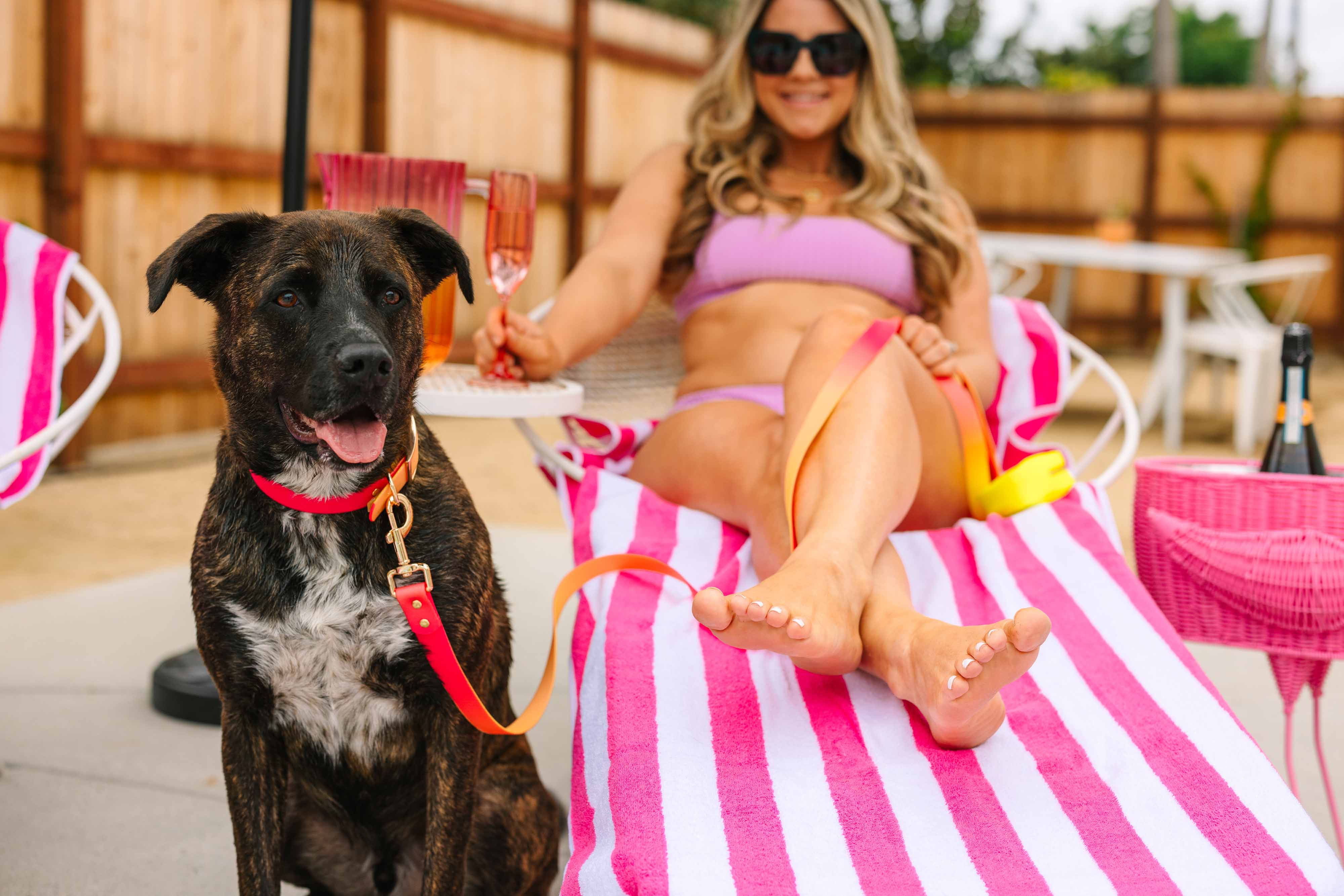 Katelin All Weather Dog Leash | Pink Papyrus