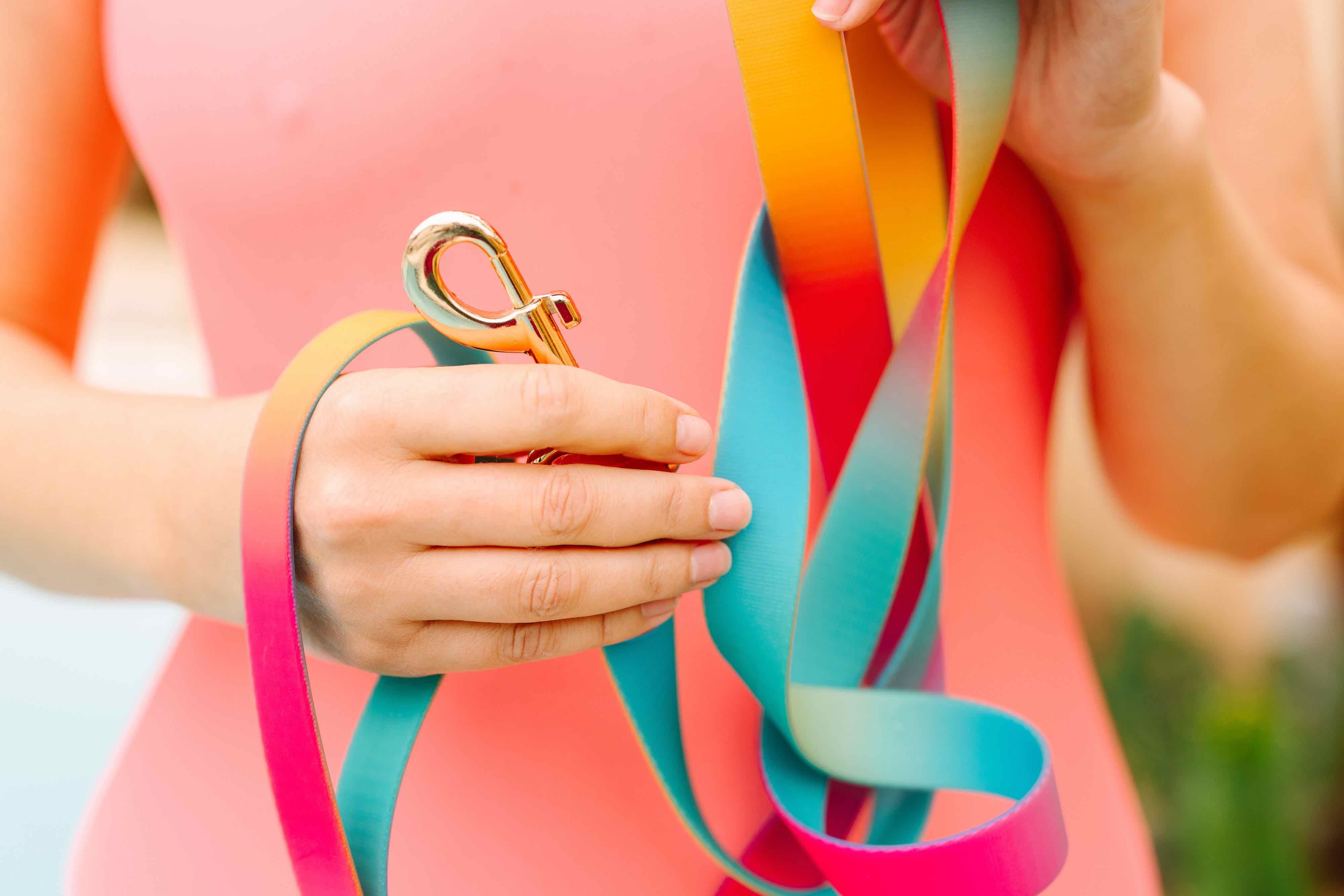 Prism Dreams Dog Collar Bundle | Pink Papyrus