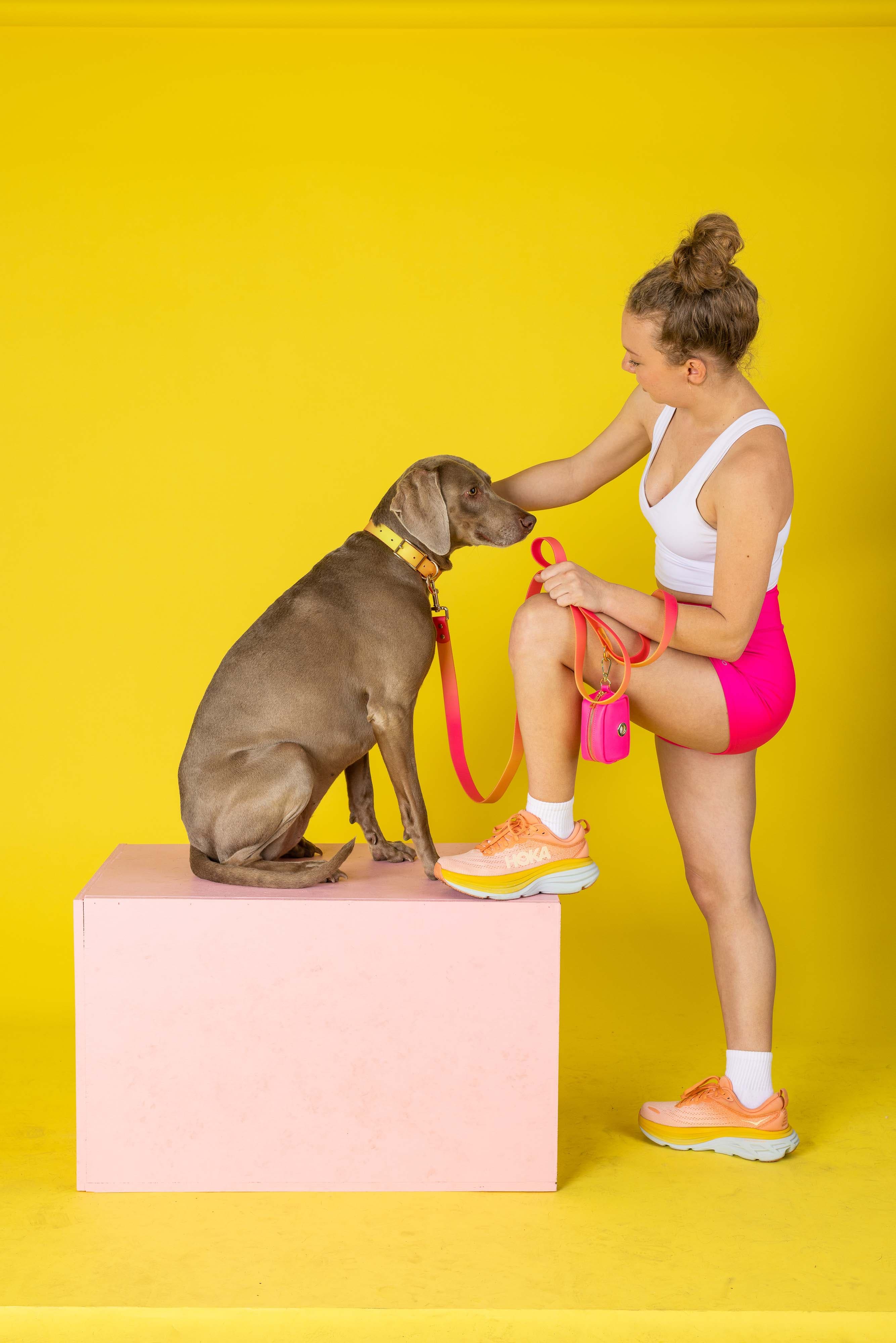 Katelin Dog Collar | Pink Papyrus