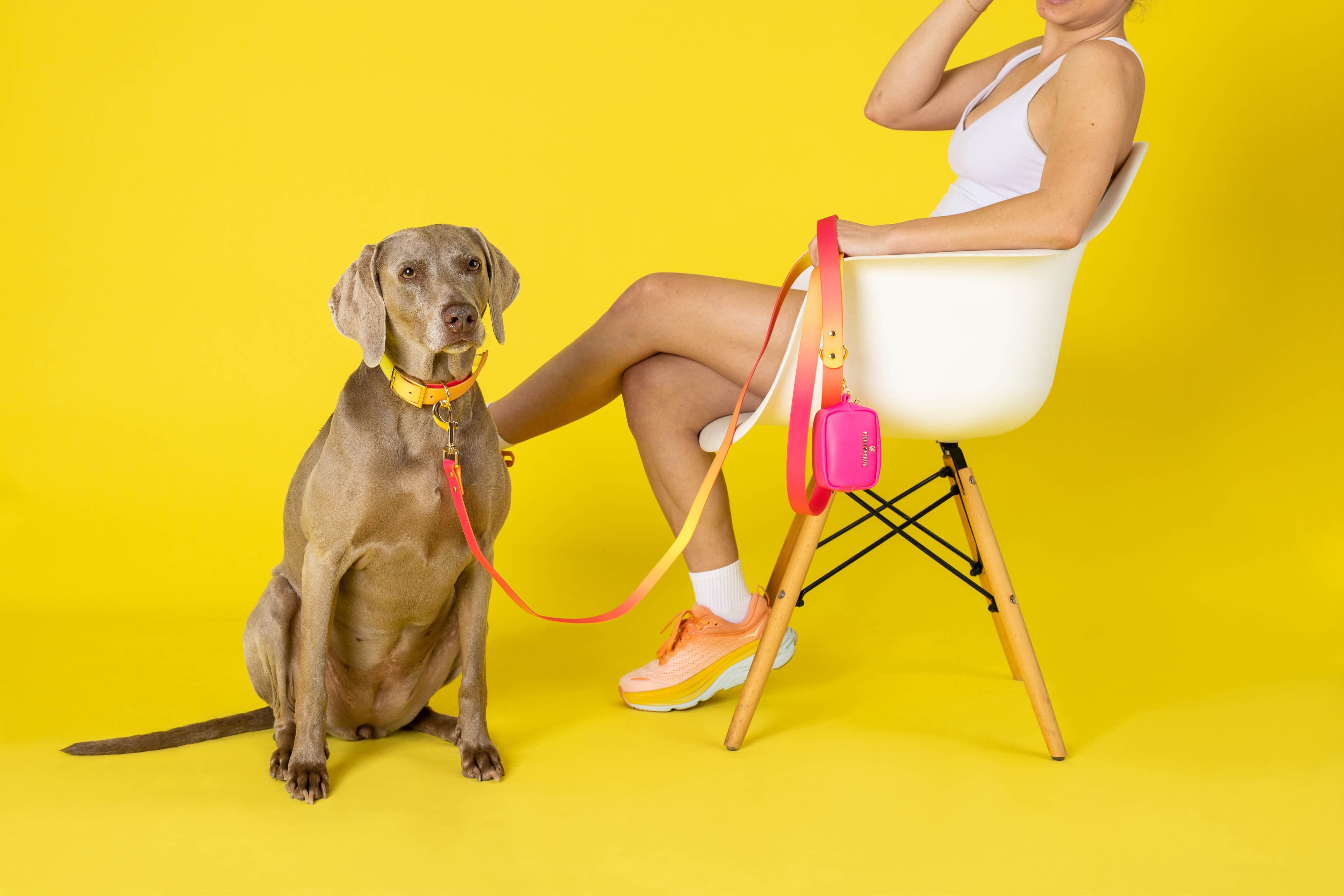 Katelin Dog Collar | Pink Papyrus