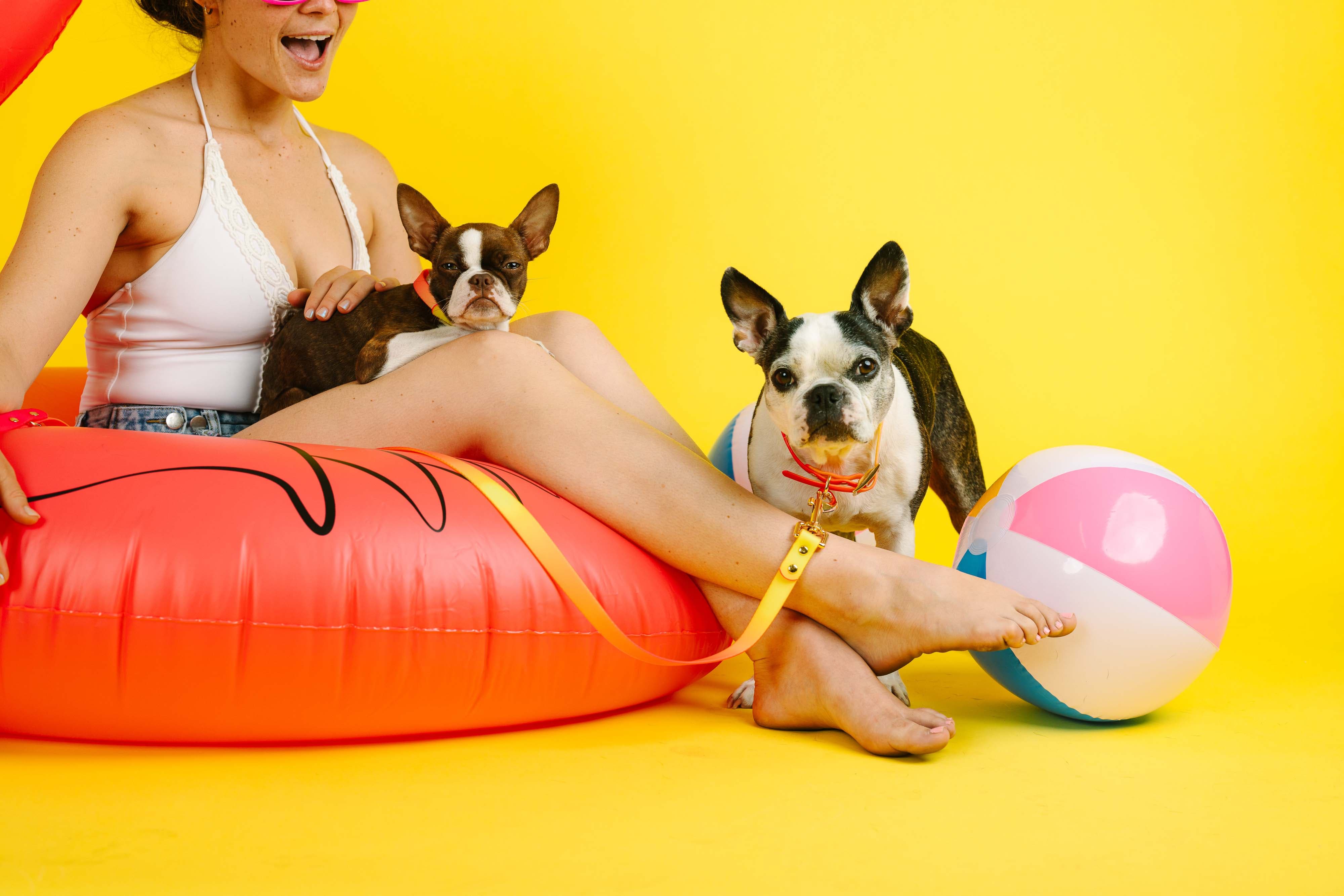 Katelin All Weather Dog Leash | Pink Papyrus