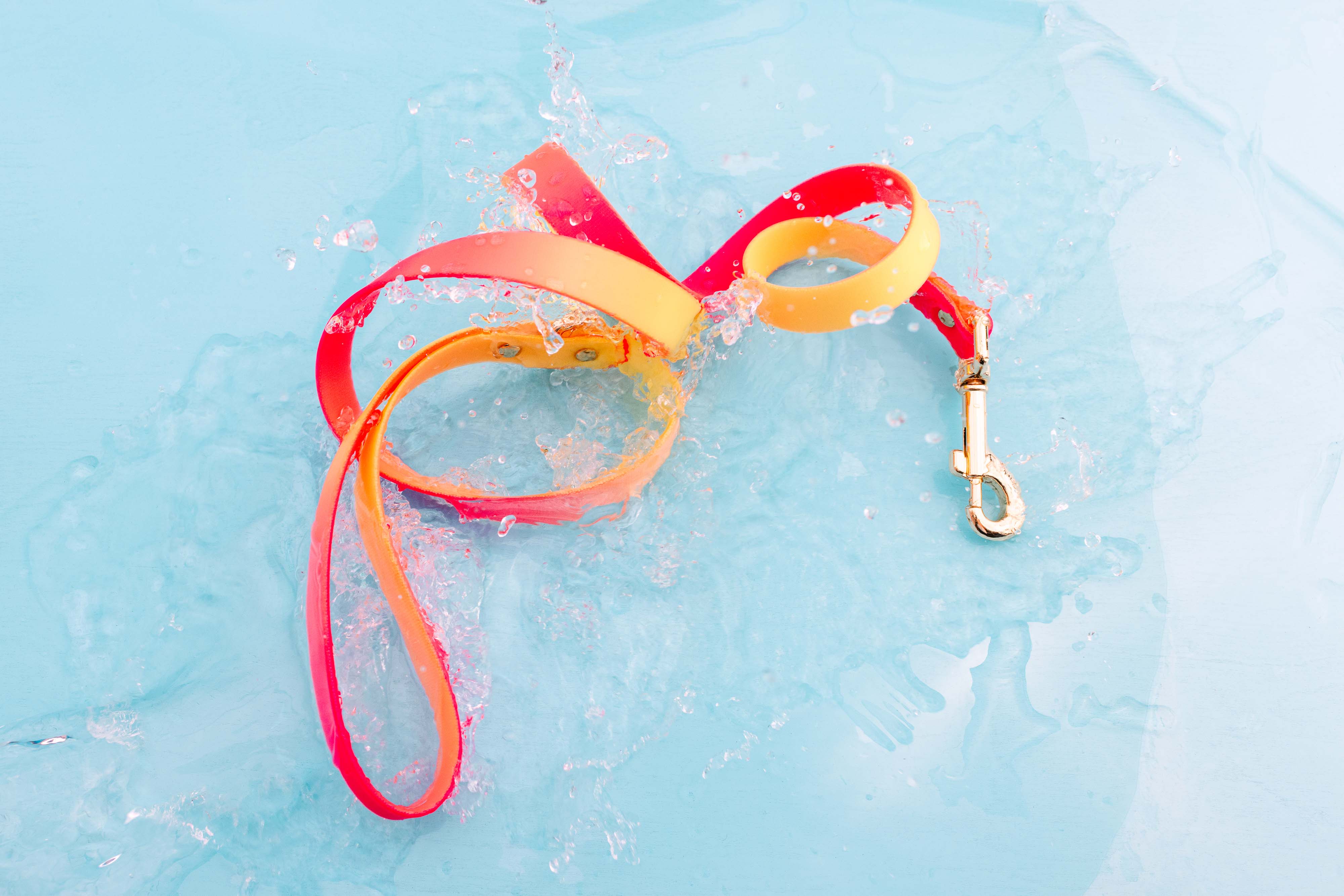 Katelin All Weather Dog Leash | Pink Papyrus
