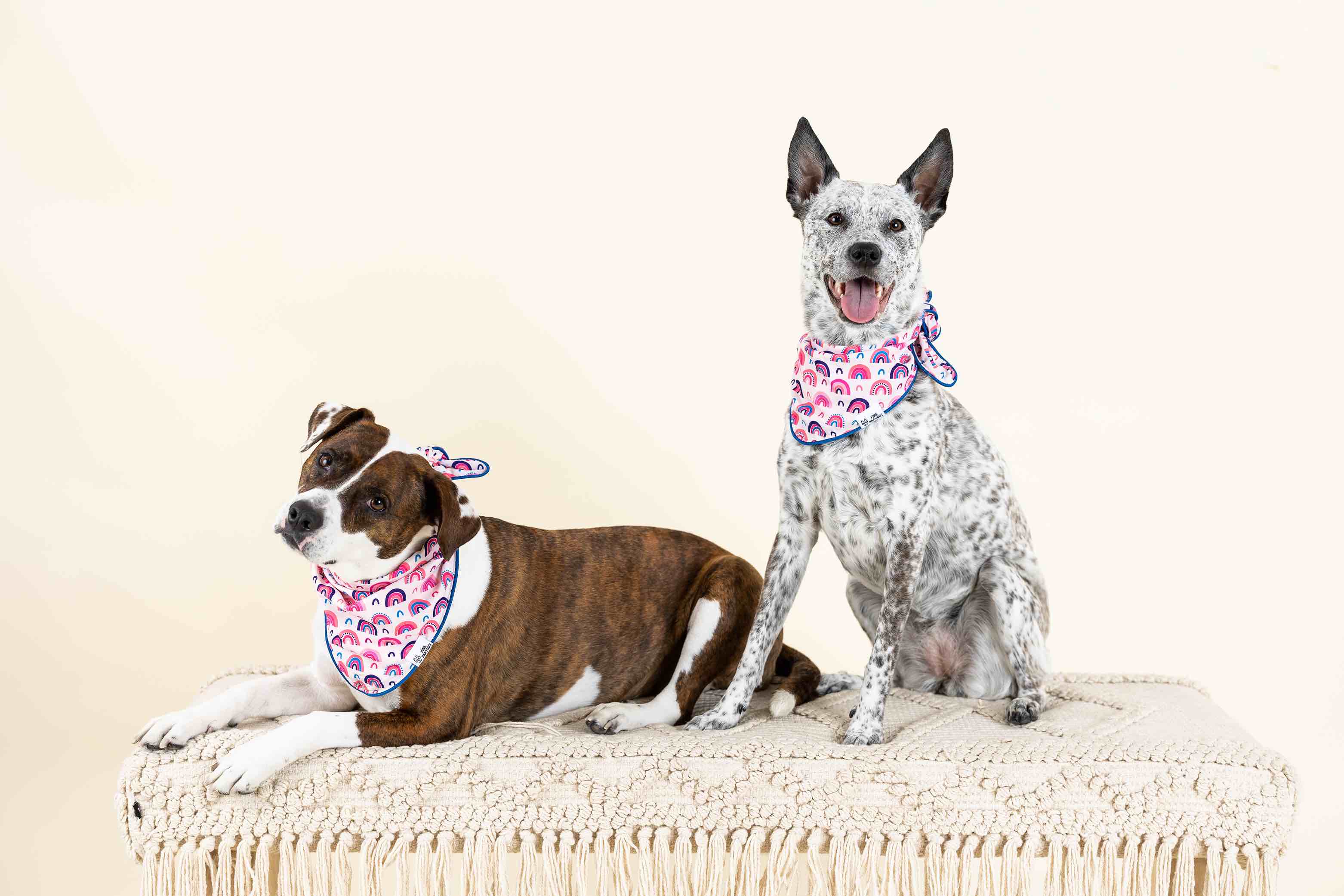 Clarke Dog Bandana | Pink Papyrus