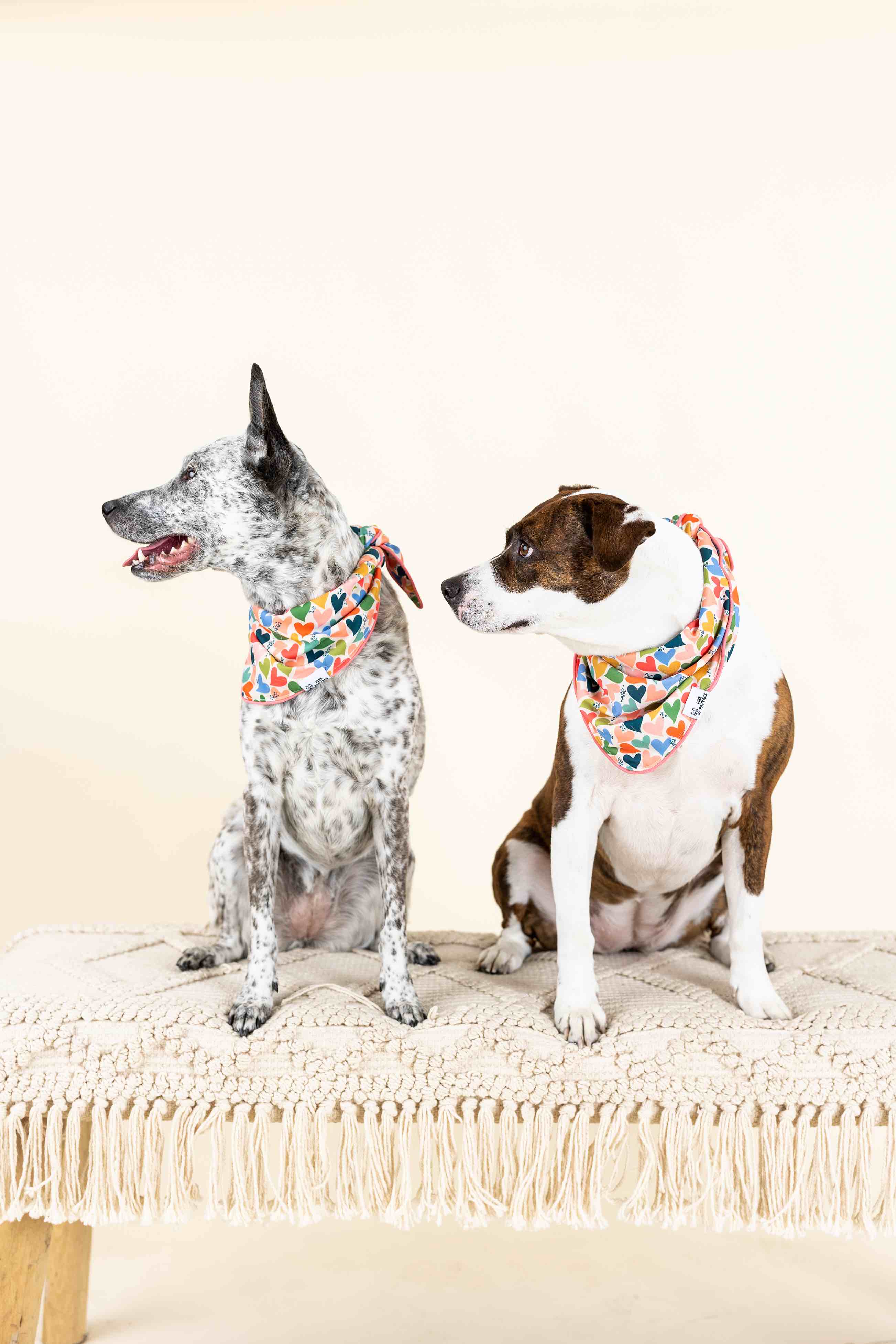 Amelia Dog Bandana | Pink Papyrus