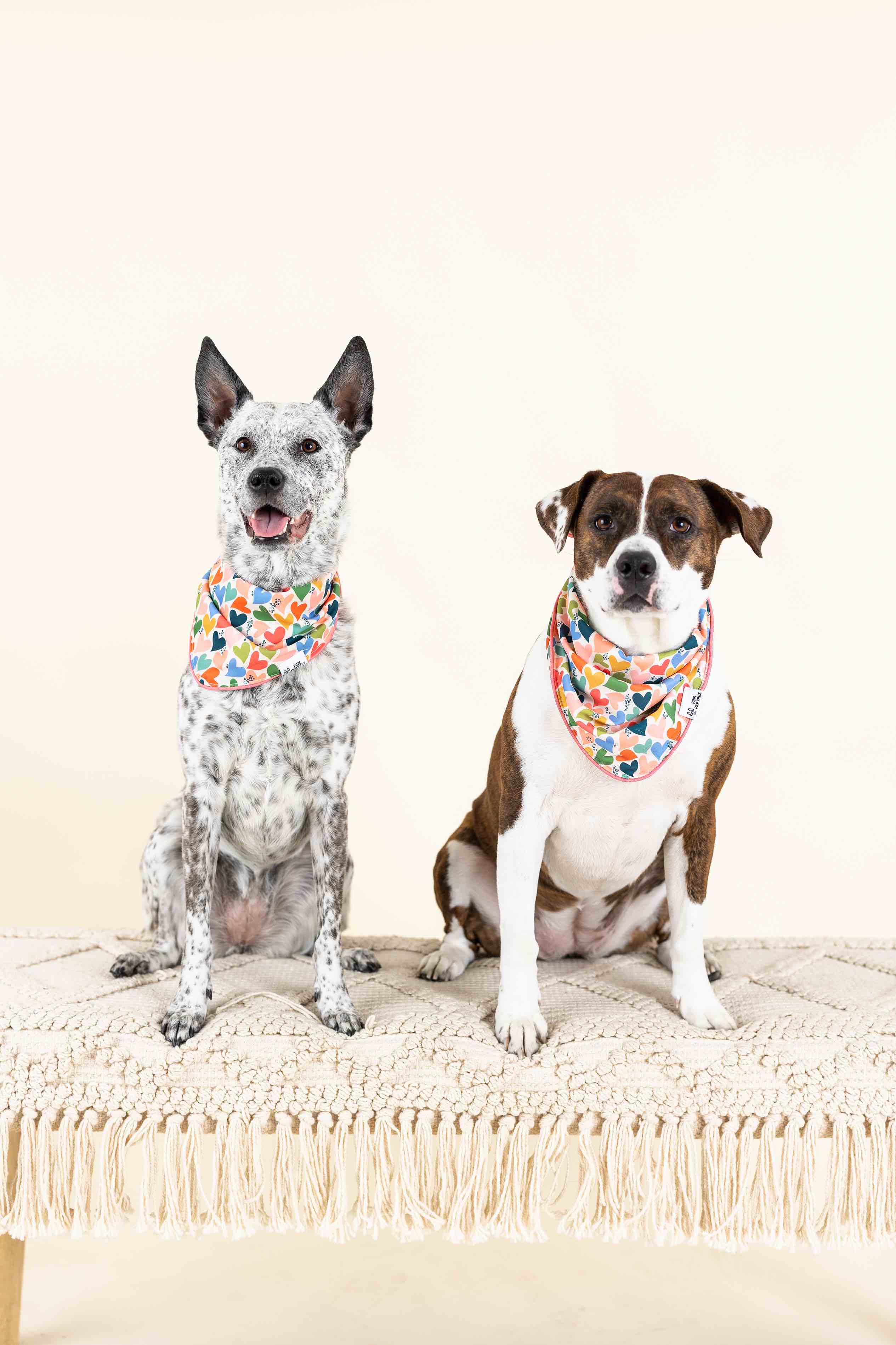 Amelia Dog Bandana | Pink Papyrus