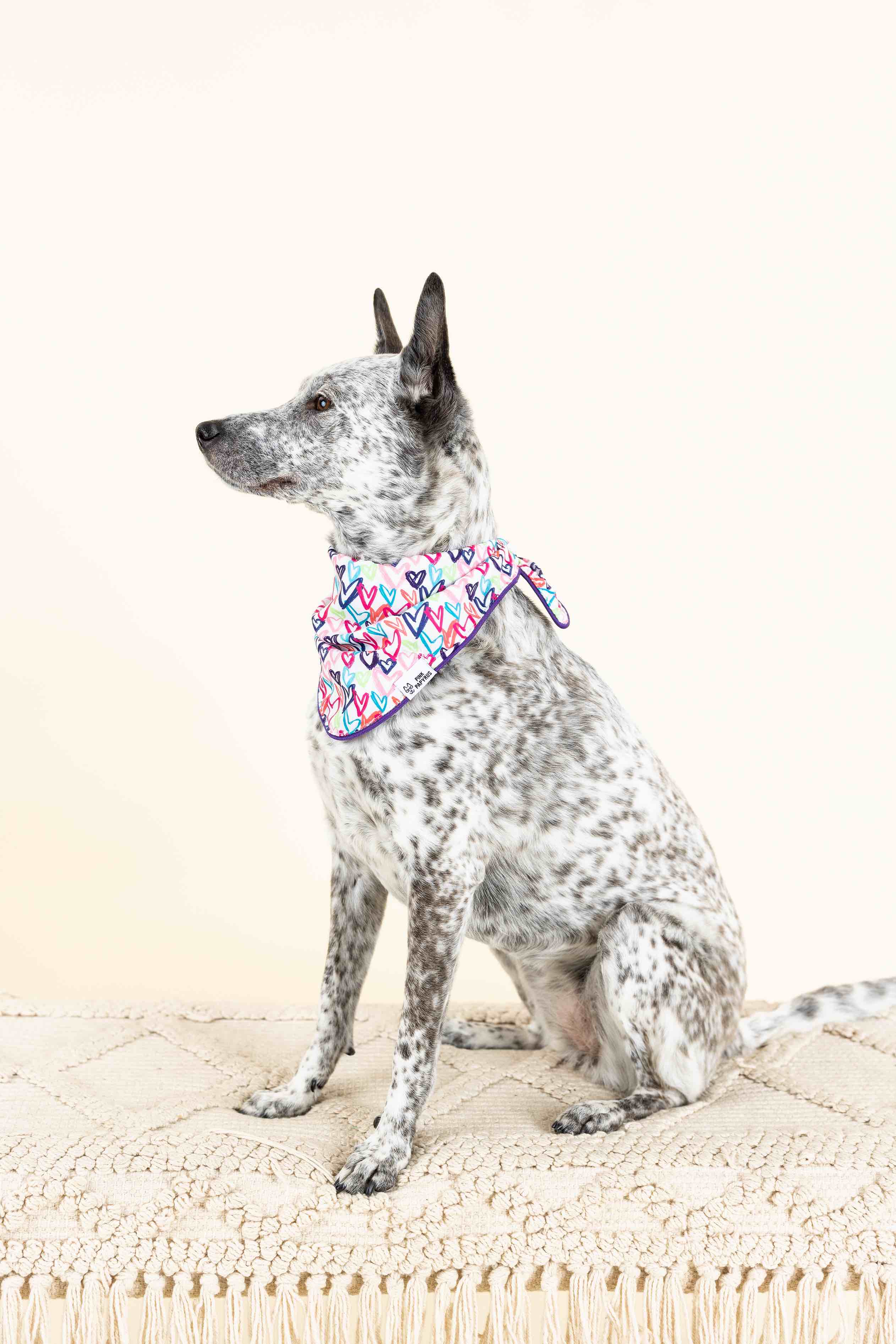 Giselle Dog Bandana | Pink Papyrus