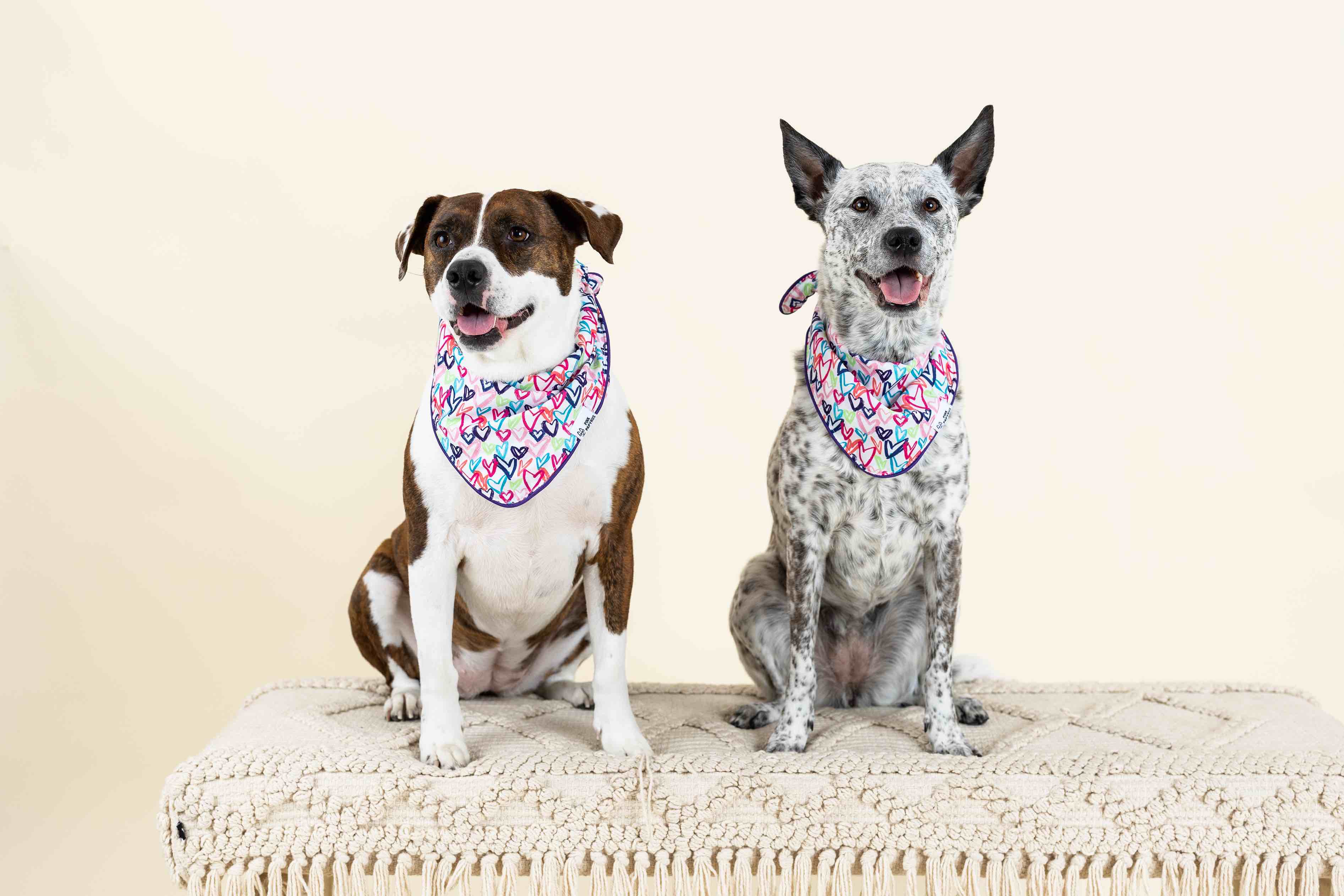 Giselle Dog Bandana | Pink Papyrus