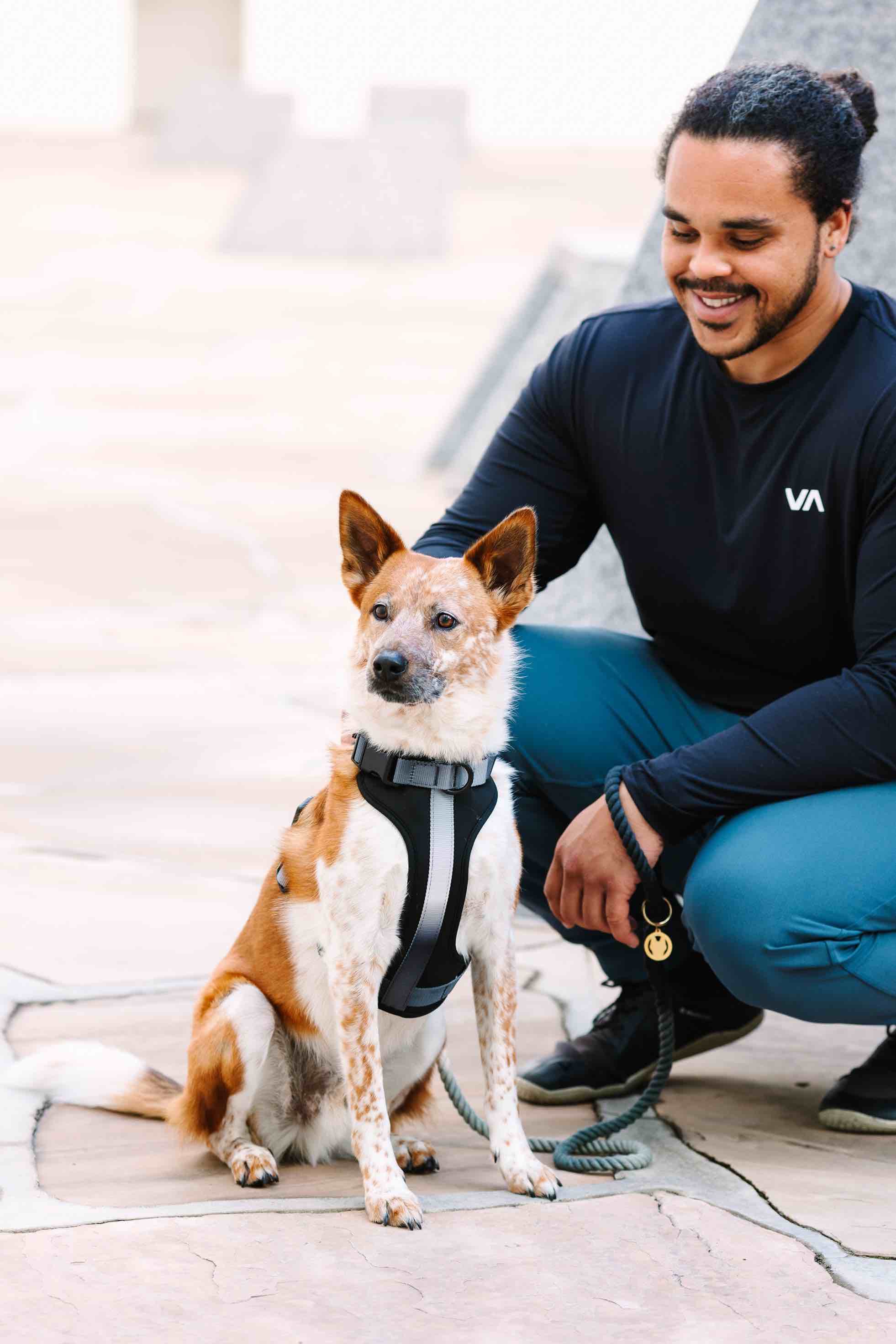 Rowan Dog Harness | Pink Papyrus