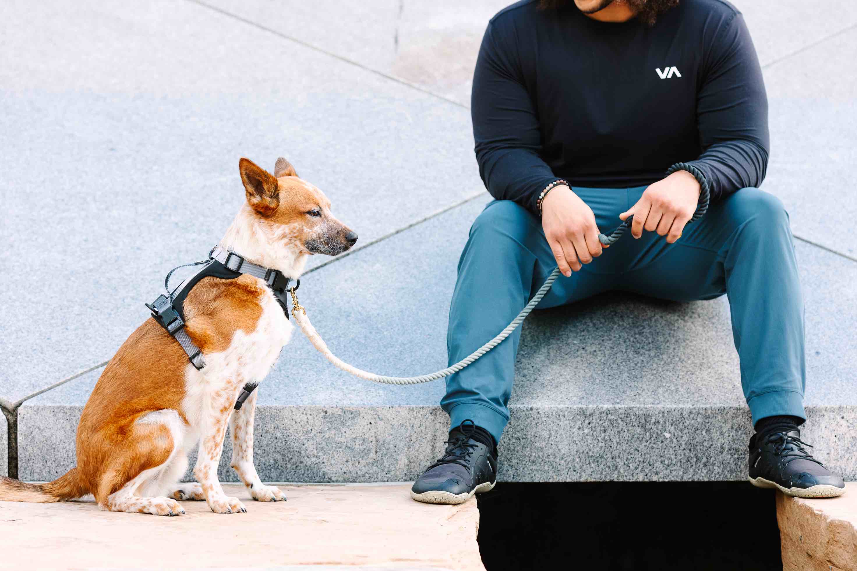 Rowan Dog Harness | Pink Papyrus