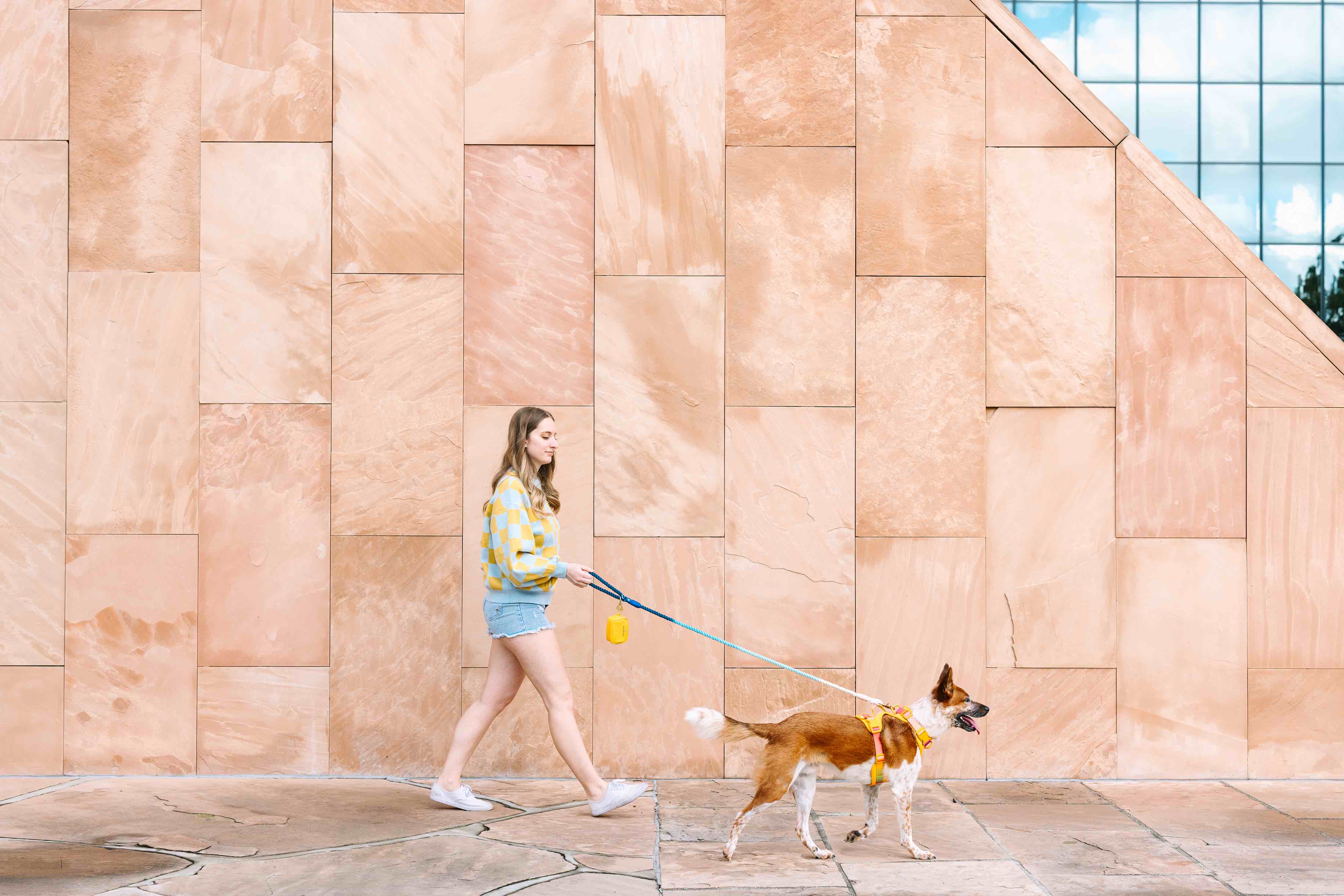 Kenna Dog Harness | Pink Papyrus